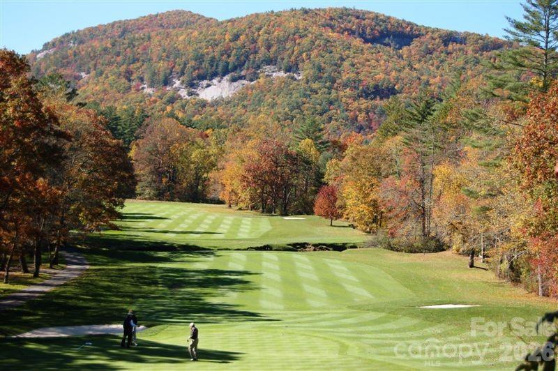 Burlingame - Residential