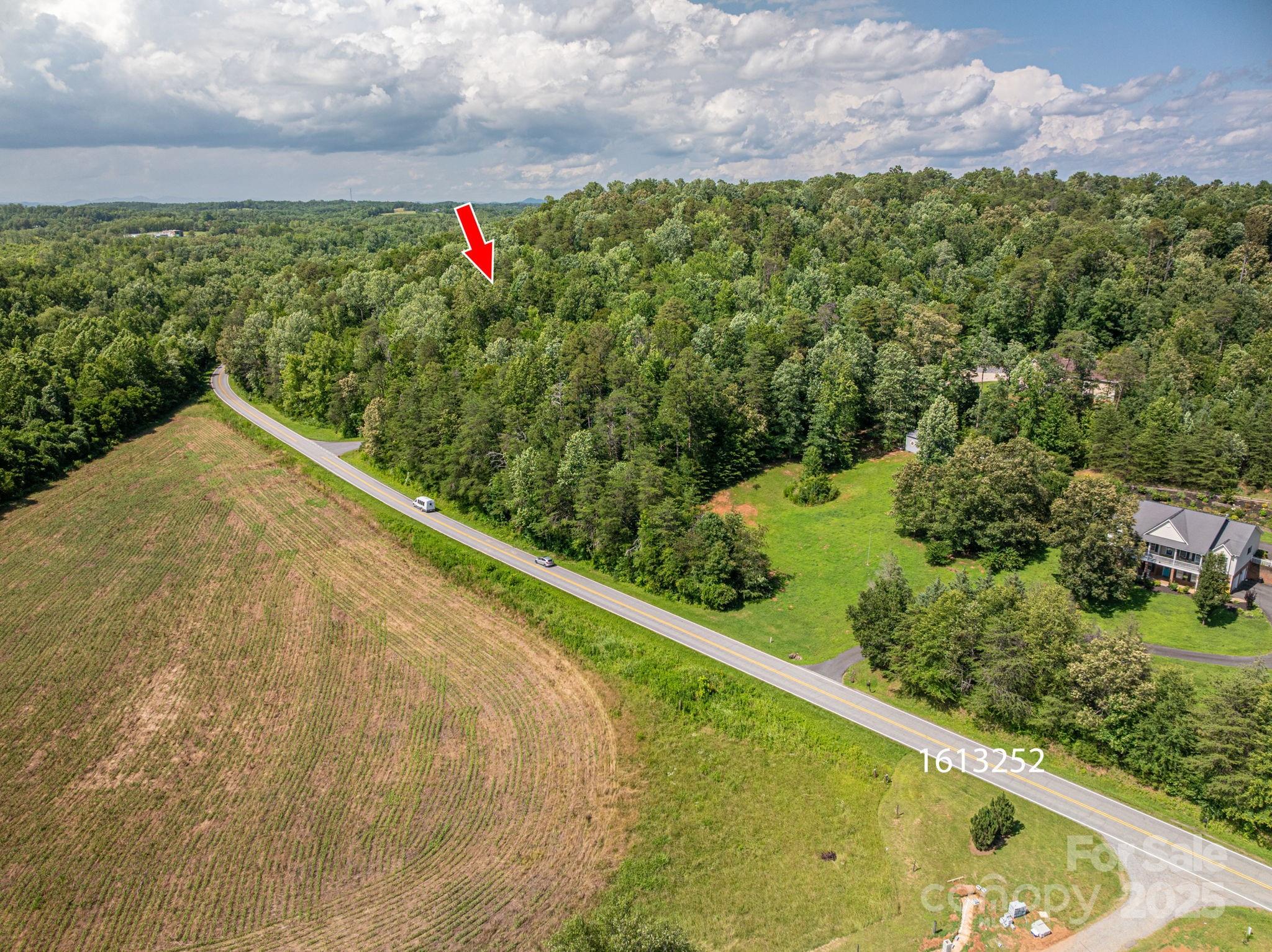 Cleghorn Plantation - Land