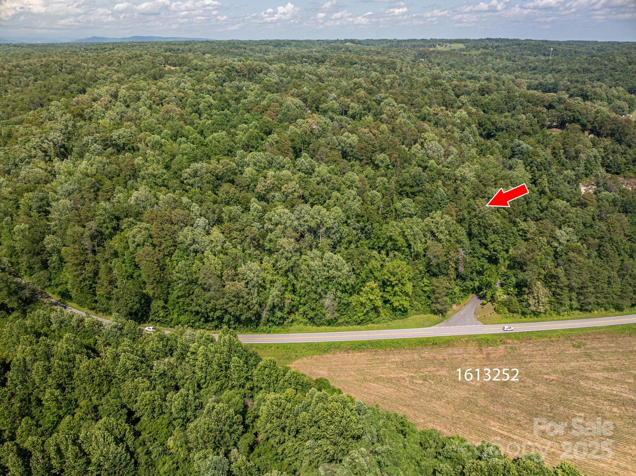 Cleghorn Plantation - Land