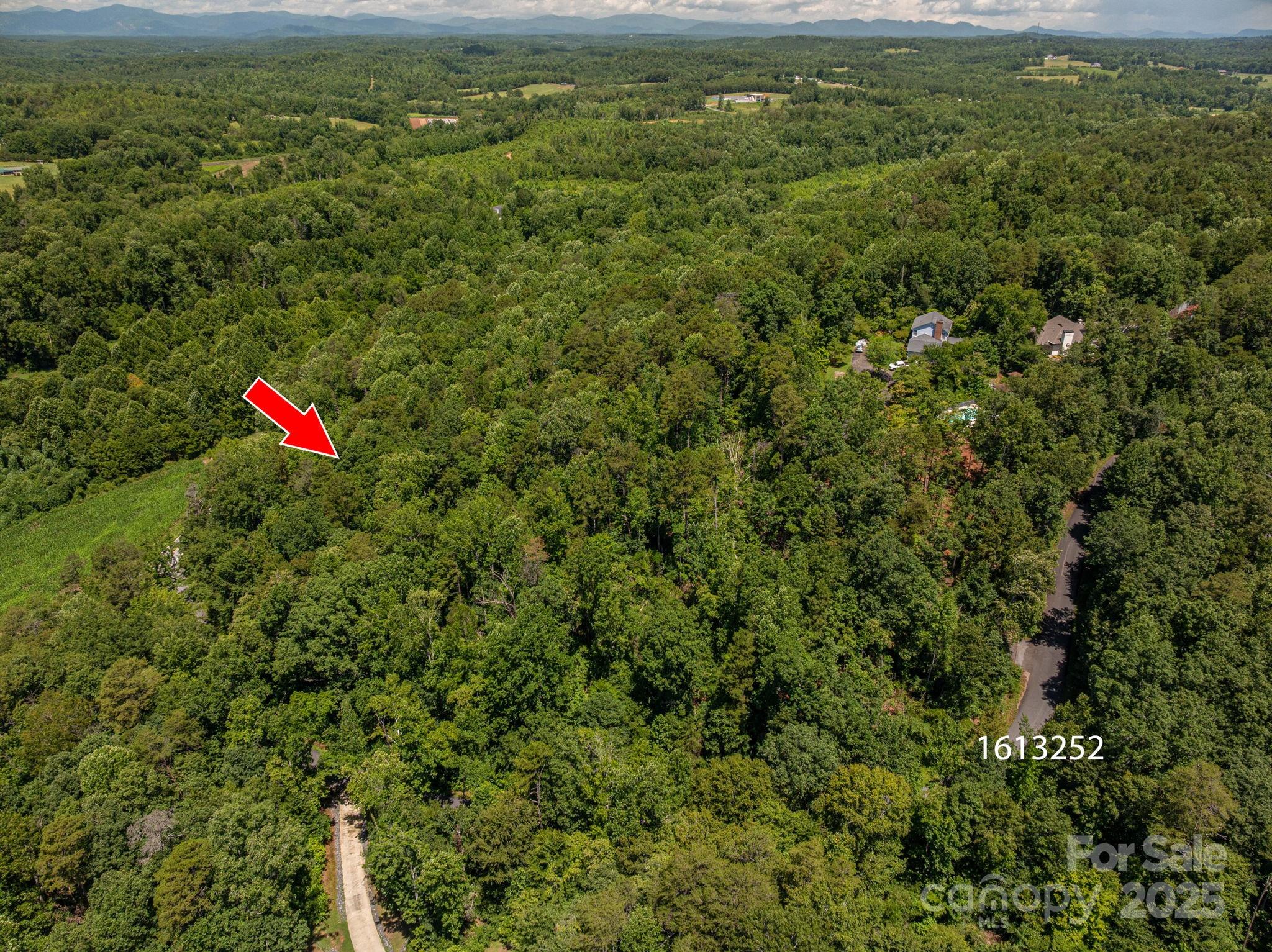 Cleghorn Plantation - Land