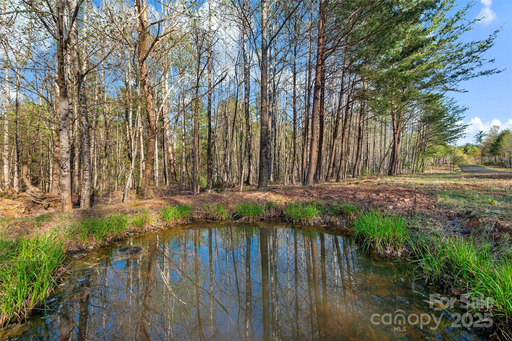 The Arbor at Lake James - Land