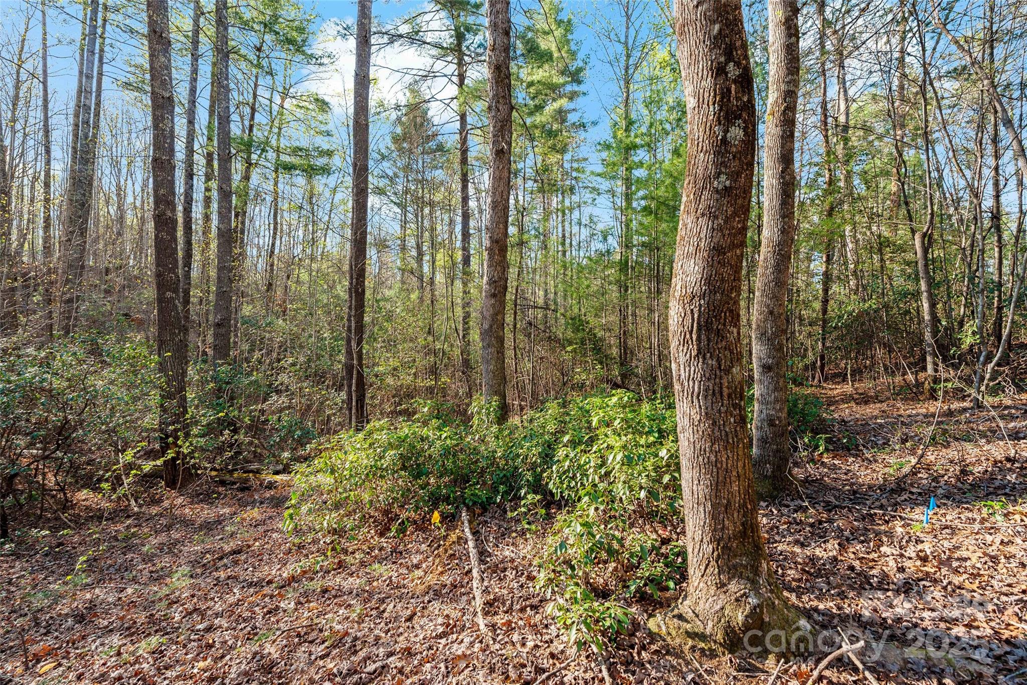 The Arbor at Lake James - Land
