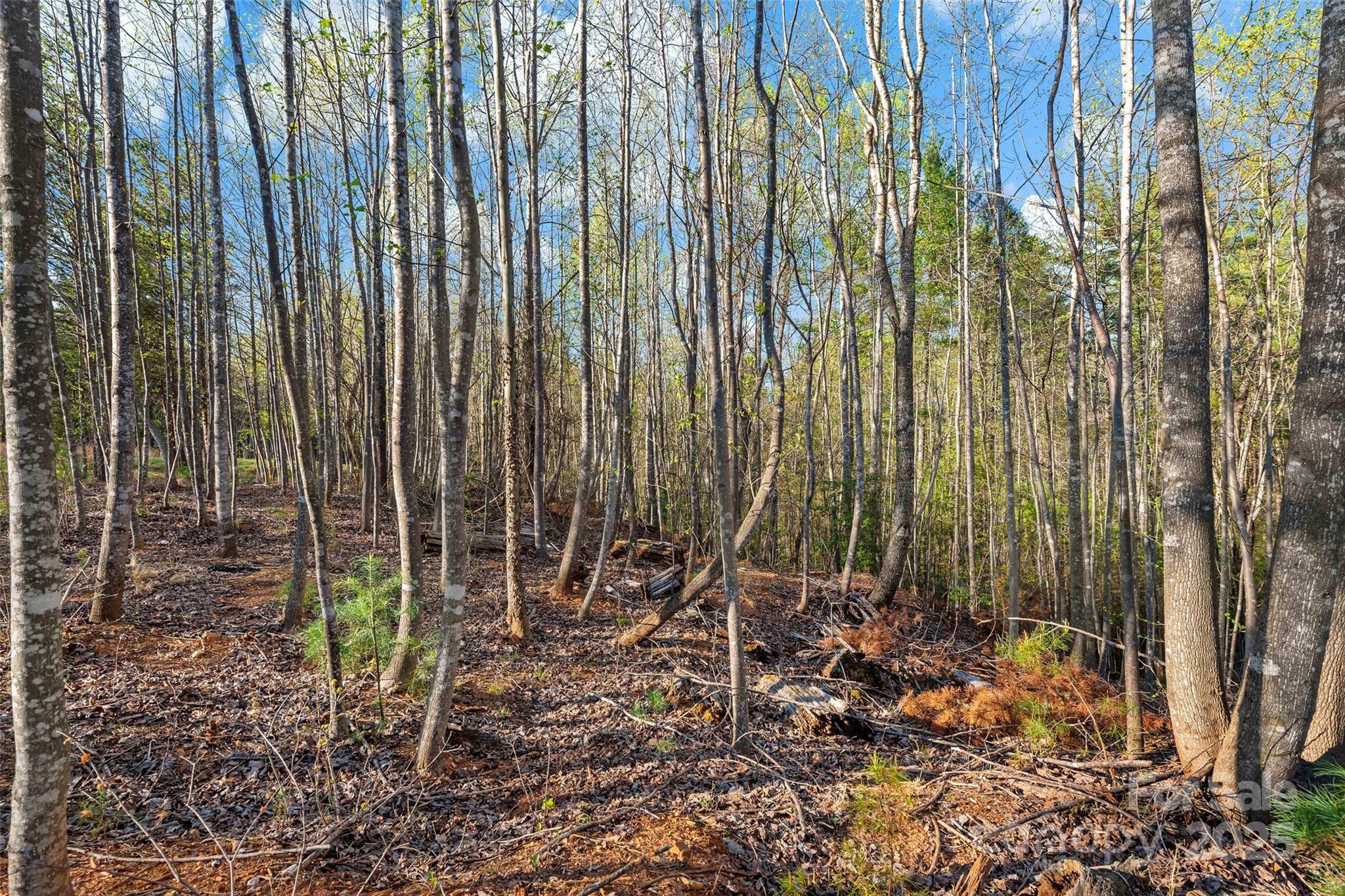 The Arbor at Lake James - Land