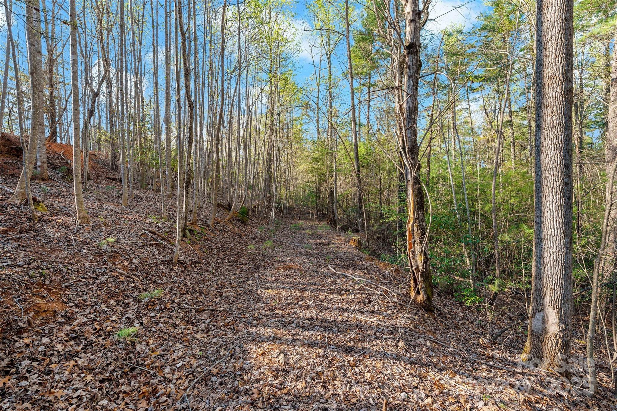 The Arbor at Lake James - Land