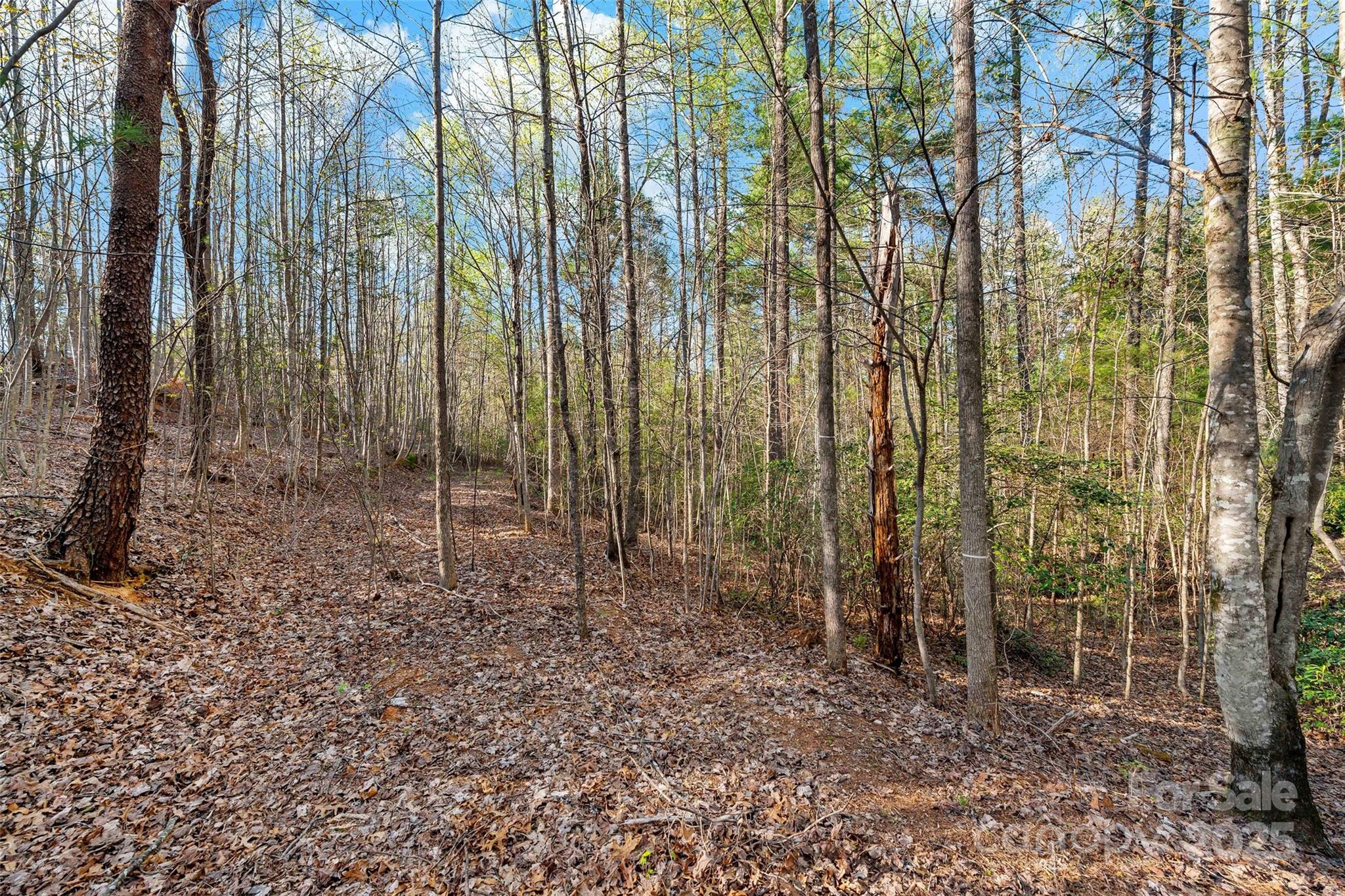 The Arbor at Lake James - Land