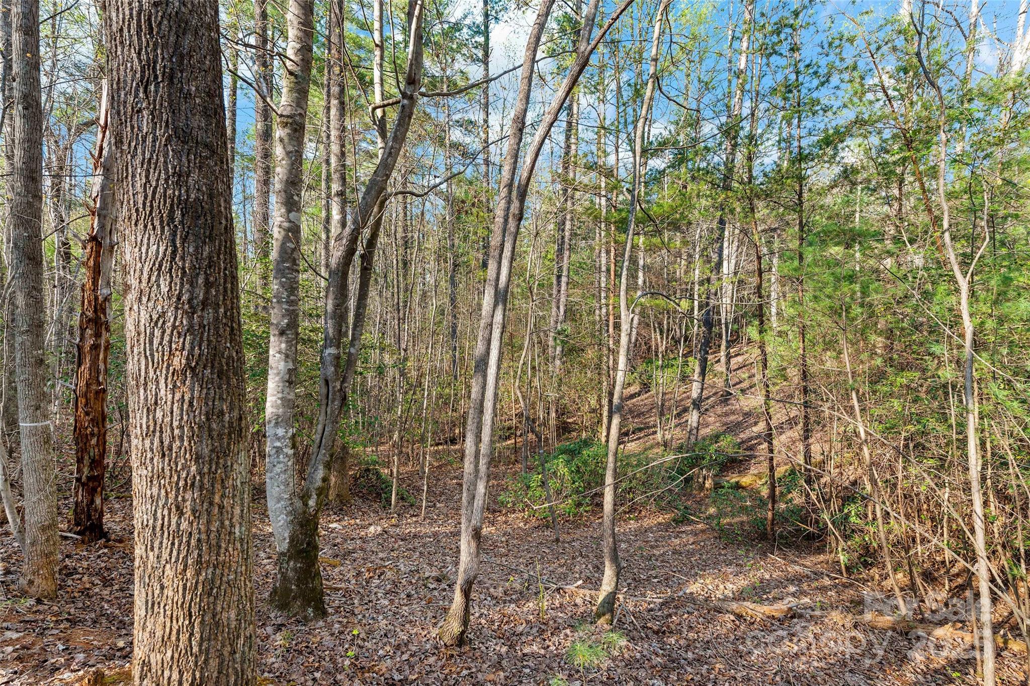 The Arbor at Lake James - Land