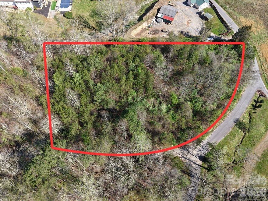If you've been looking for a place to build your mountain escape, this 1.13-acre lot in Hayesville is exactly what you need. It's located in a quiet, established area that gives you that "away from it all" feeling without actually being in the middle of nowhere. With over an acre of land, you have plenty of room to position your home for privacy while still enjoying easy access to paved roads and local amenities.

The land itself features the beautiful, rolling geography that makes Western North Carolina so famous. Because the lot is over an acre, you have a nice mix of usable space and natural forest, giving you the perfect backdrop for a wrap-around porch or a back deck. Many spots in this area offer stunning seasonal views of the surrounding peaks, and with a little selective clearing, you can truly open up those long-range mountain vistas.

Life here is an outdoor lover's dream. You are just minutes away from Lake Chatuge, where you can spend your weekends boating, swimming, or fishing for bass in the clear blue water. If you prefer land to water, the Jackrabbit Mountain trails are nearby for world-class hiking and mountain biking, and the Nantahala National Forest offers endless miles of wilderness to explore. Whether you want a challenging hike or a quiet afternoon by a trout stream, it's all right in your backyard.

Beyond the scenery, Hayesville offers a high quality of life that's hard to find these days. It's a friendly, slow-paced community where people still gather at the historic town square for local events and farmers' markets. You'll get to enjoy great local spots like Nocturnal Brewing or The Copper Door, all while benefiting from some of the lowest property taxes in the state. It's a peaceful, welcoming place to settle down and enjoy the best of mountain living.