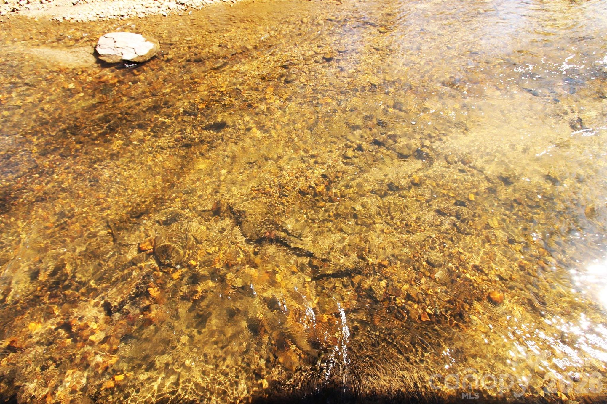 000 TBD School House Road