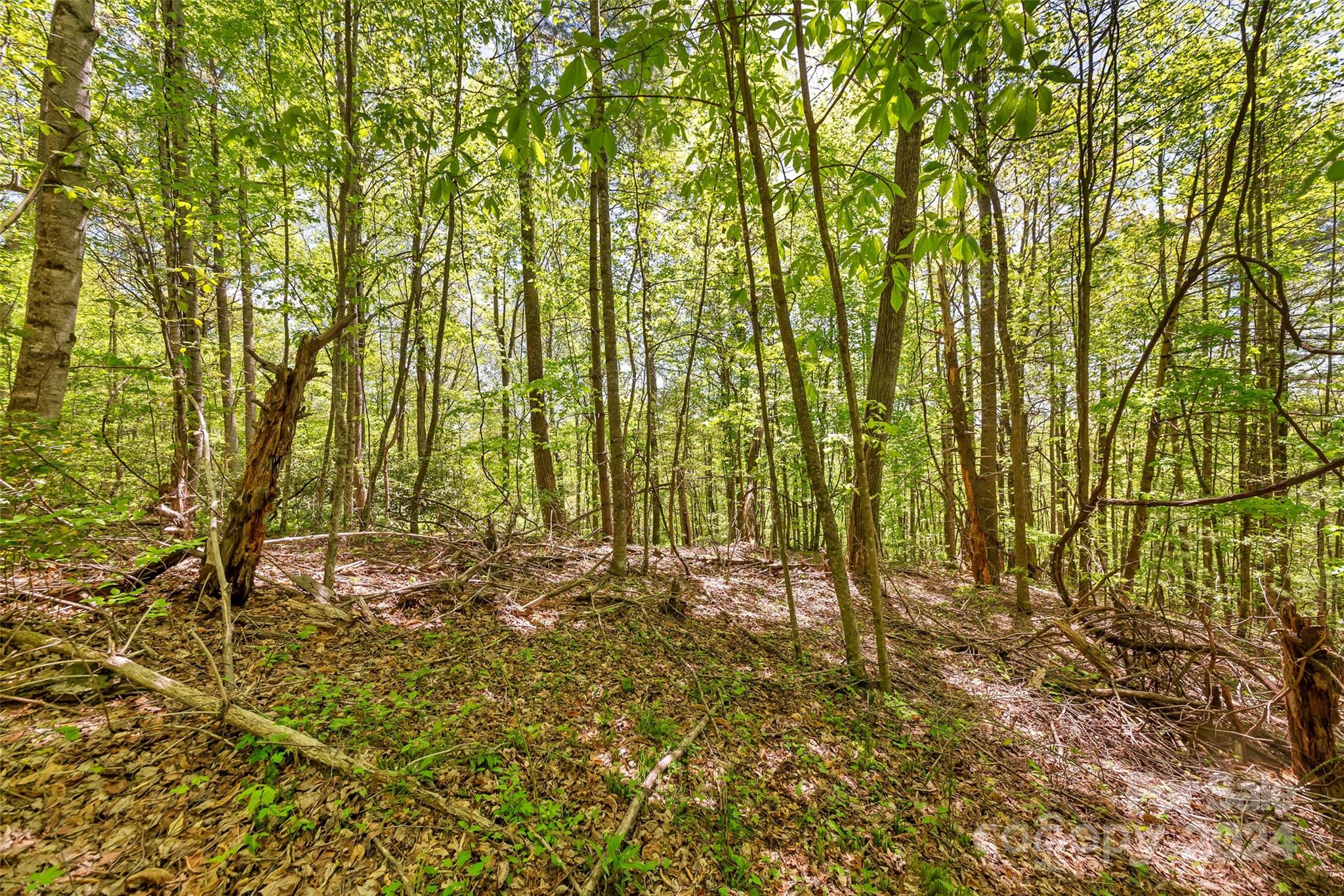 0000 Gouges Creek Road