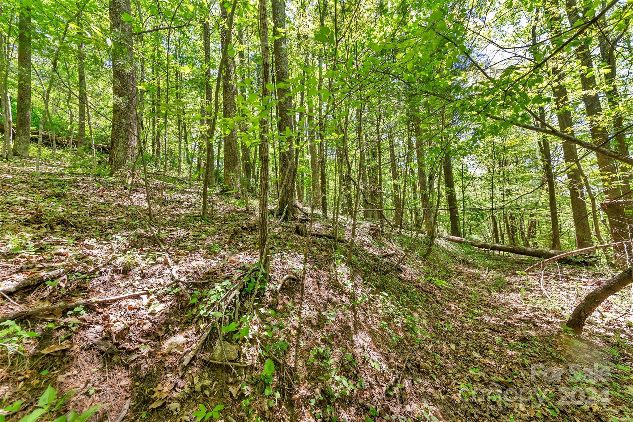 0000 Gouges Creek Road