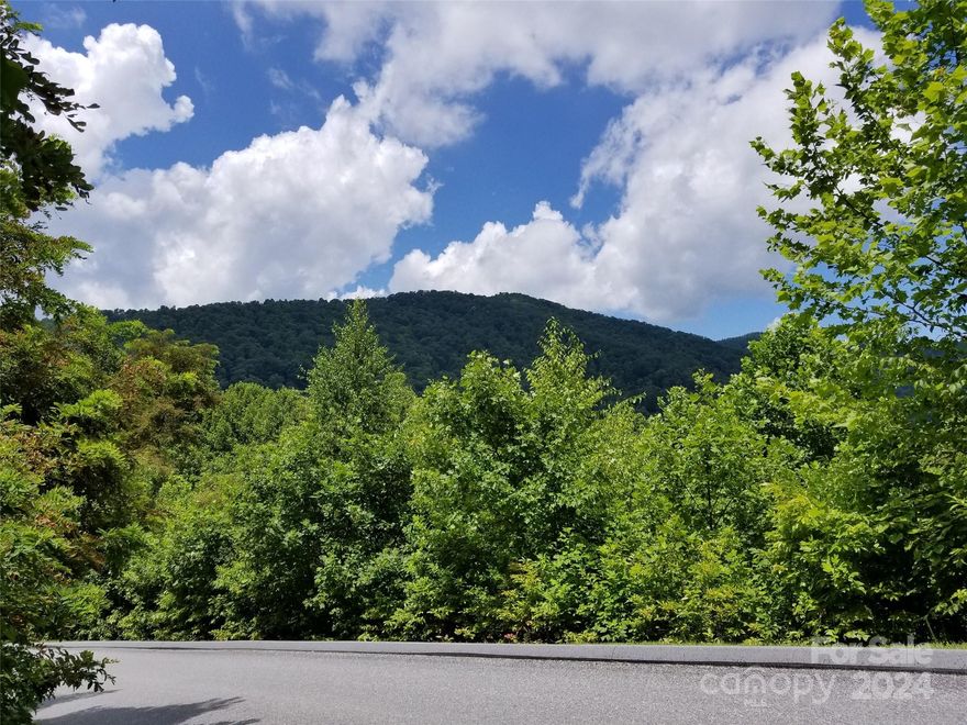 AWAY FROM IT ALL WOODED PRIVACY IN AN ACTIVE GATED COMMUNITY, BUT ONLY MINUTES FROM THE FINEST OF ASHEVILLE SHOPPING, OUTDOOR ACTIVITIES, AIRPORT, INTERSTATES, AND LIVELY, HISTORIC, ECLECTIC DOWNTOWN ASHEVILLE.  YOUR OWN PRIVATE POND, TENNIS COURT, SWIMMING POOL, AND CLUBHOUSE.   VIEWS OF THE BLUE RIDGE MOUNTAINS SUMMER GREENERY AND BLAZING FALL COLOR.