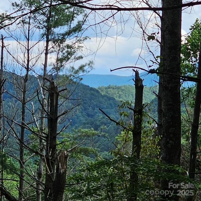 660 Big Windfall Road