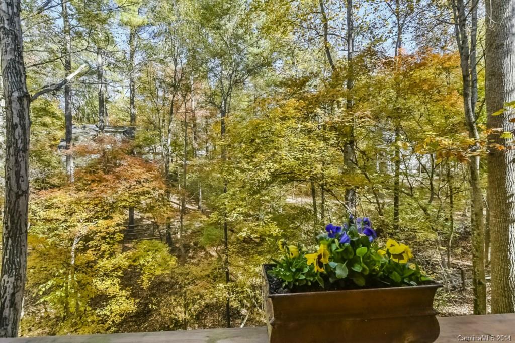 Tega Cay - Residential
