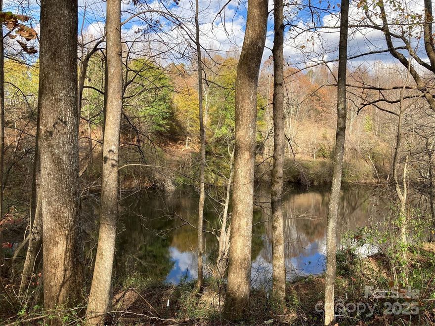 7 acre lot with pond and flat bottom area would work for a small homestead or home with privacy.  Convenience is the key word with Hwy 25 S and Interstate 26 just 3-4 minutes away.  City water and underground utilities available for a new homeowner to access.  Great lot for your new home.