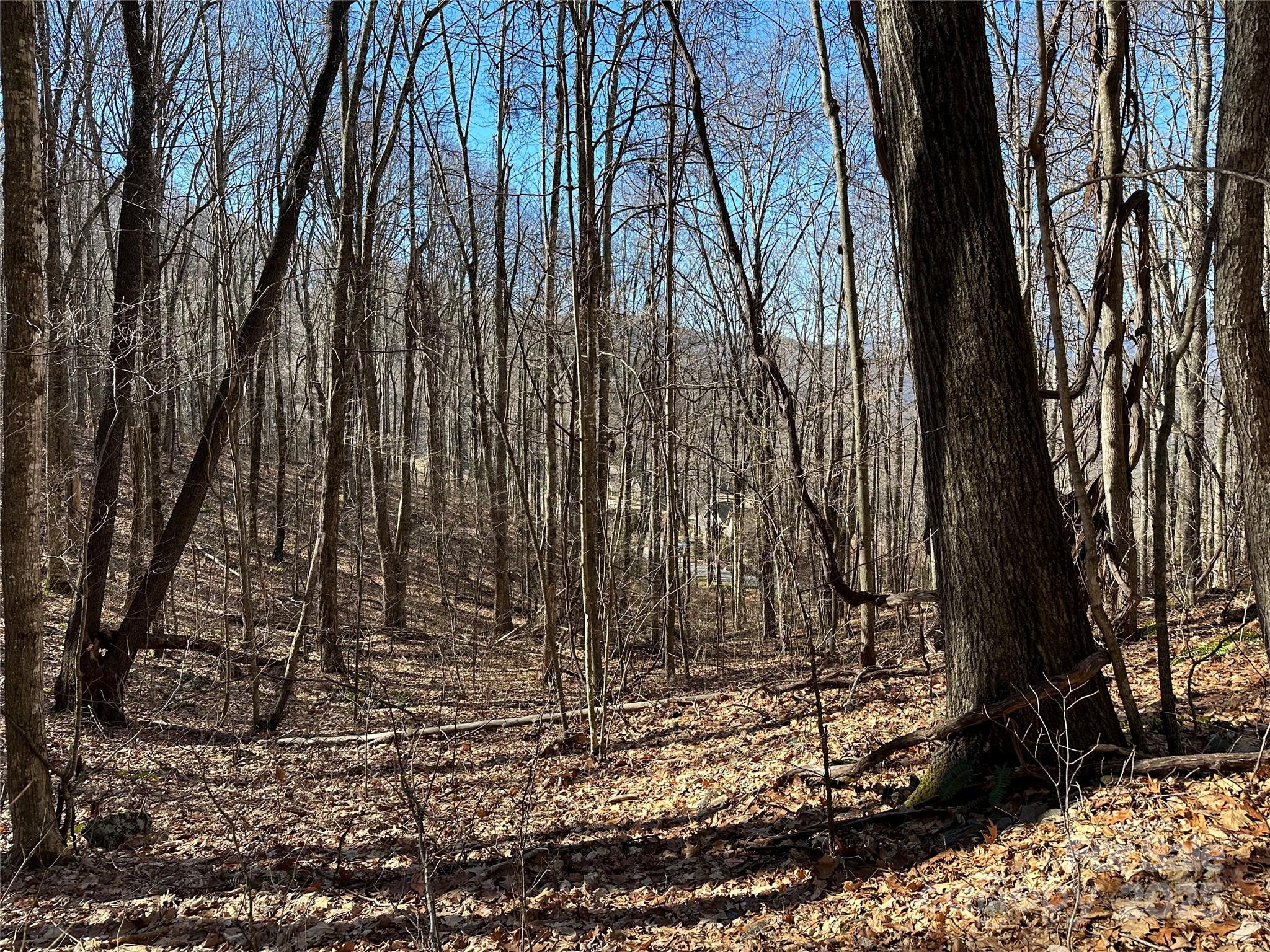 Highland Forest - Land