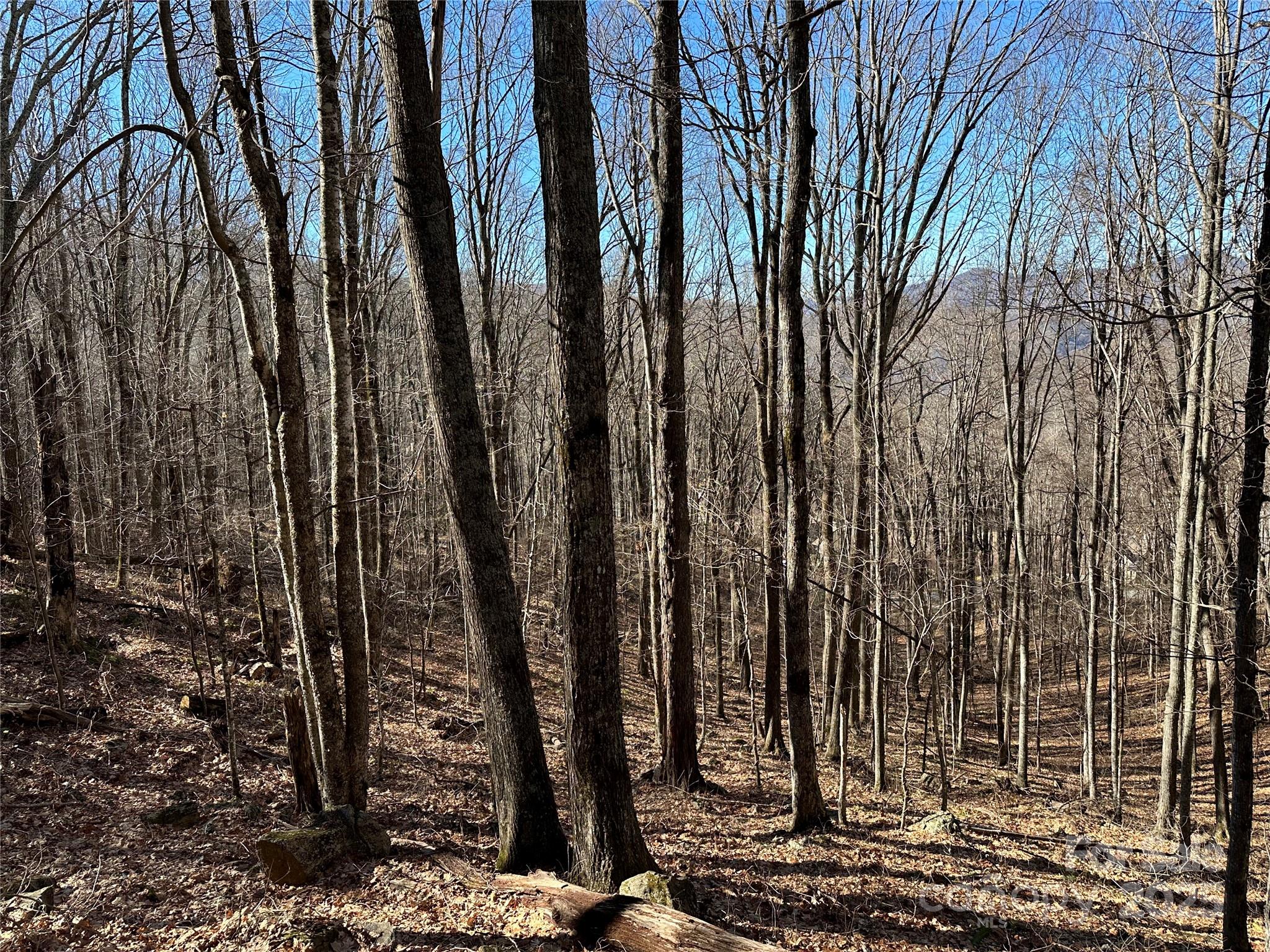 000 Finlaystone Trace 26