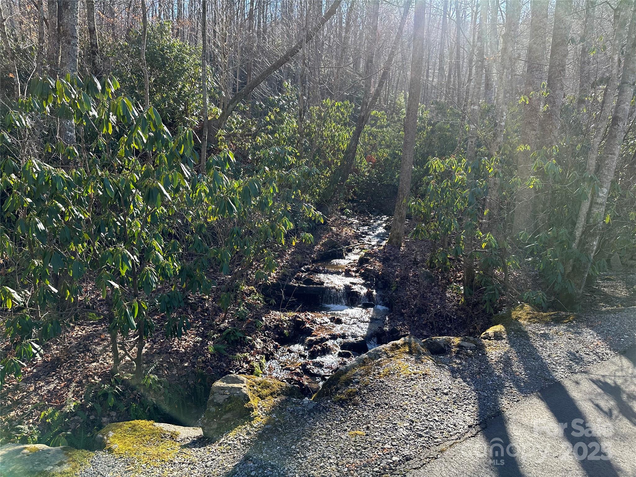 Highland Forest - Land