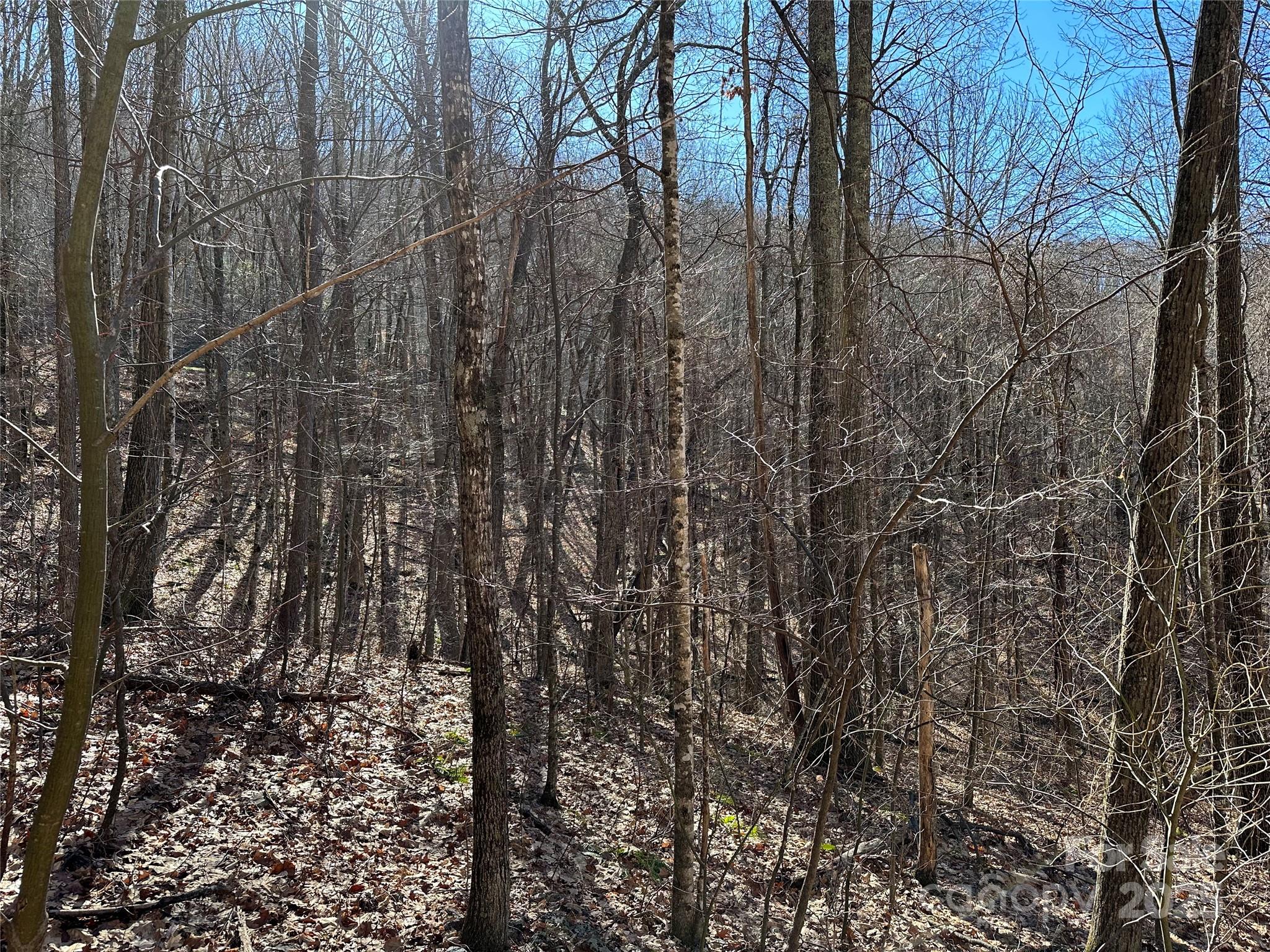 000 Finlaystone Trace 26