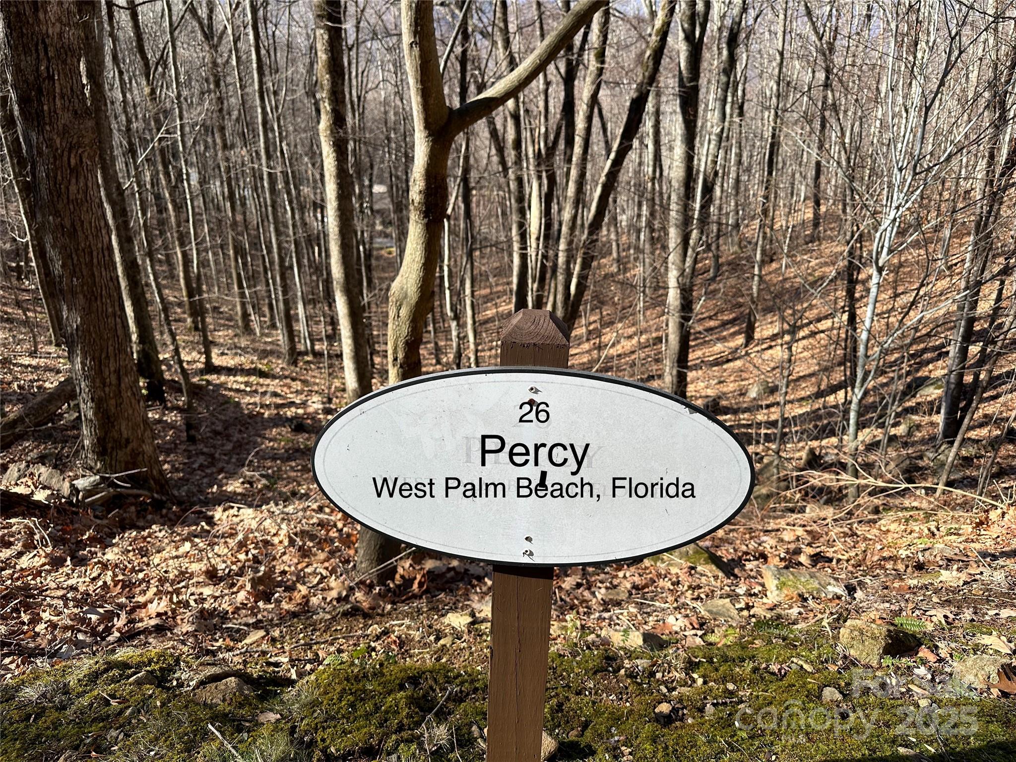 Highland Forest - Land