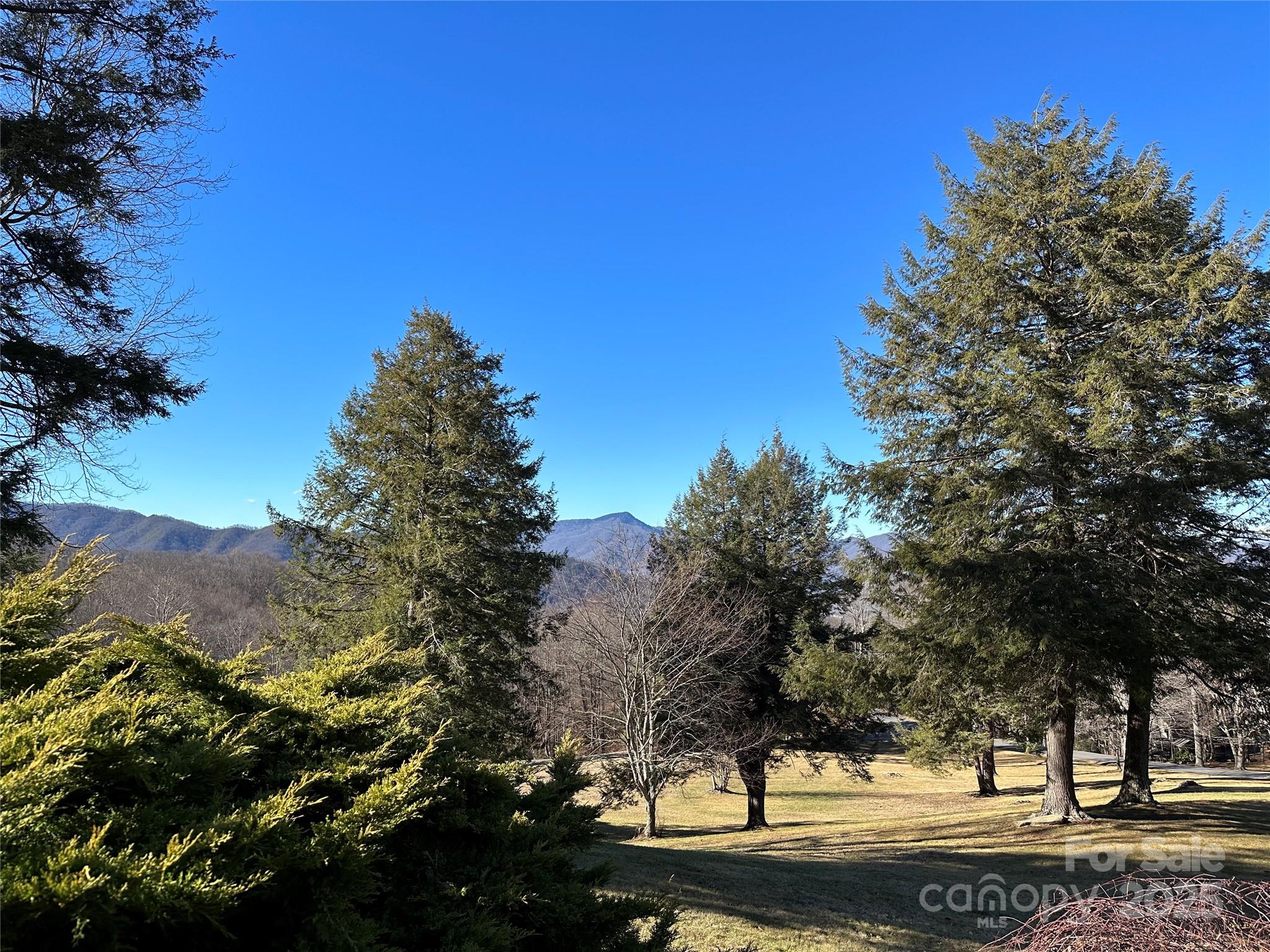 Highland Forest - Land