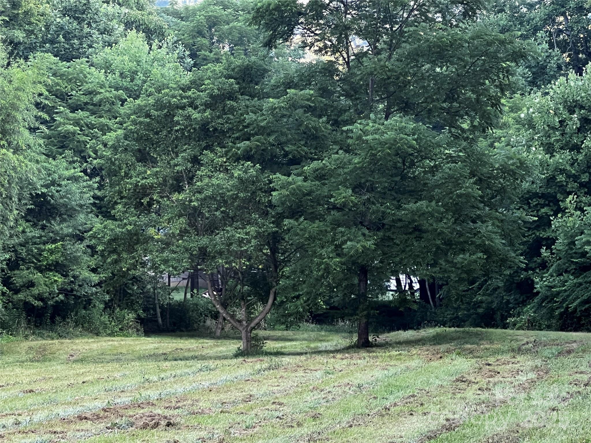 Lot 1 Turtle Rock Lane