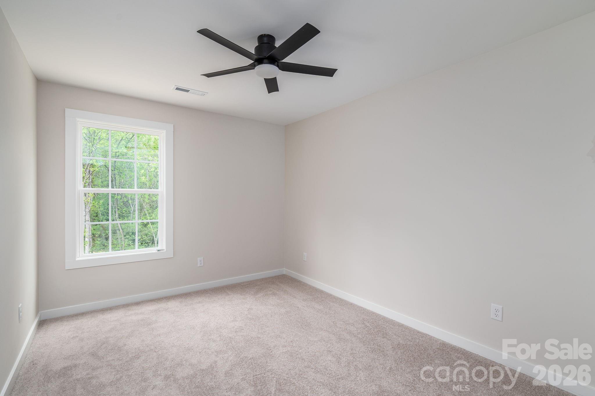 Wittenburg Springs - Residential