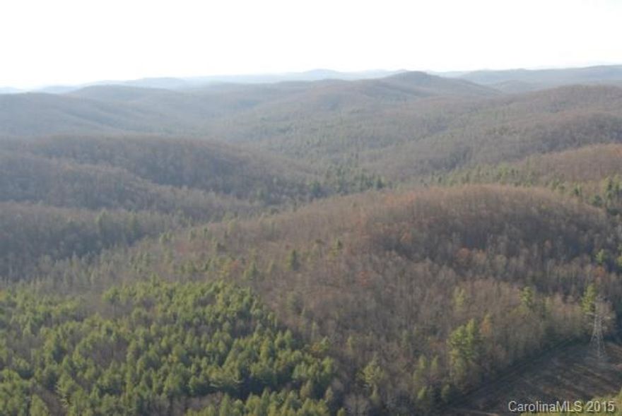 Bank Owned 729 unrestricted acres next to DuPont Forest and Jones Gap State Park.  Available in smaller parcels starting at 104 acres.  Headwaters of 4 creeks, over 4.5 miles of old road system and logging roads as well as miles of additional trails. Surrounded by private conservation easements, fronting on two state roads wedged in between 20,000 acres of state Park... One of a kind opportunity for private estate, development or simple land investment. Long range mountain views