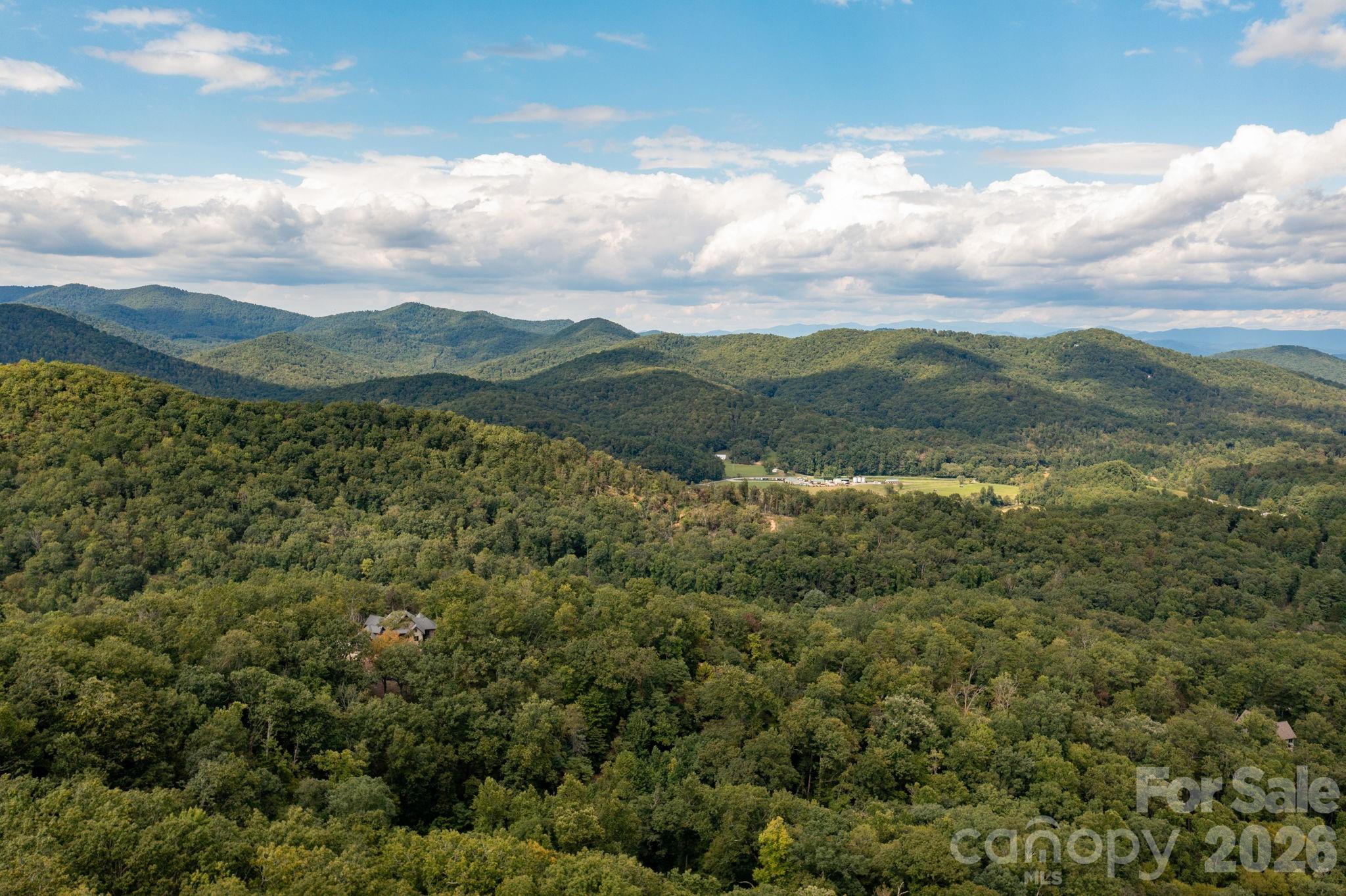 Homestead at Mills River - Residential