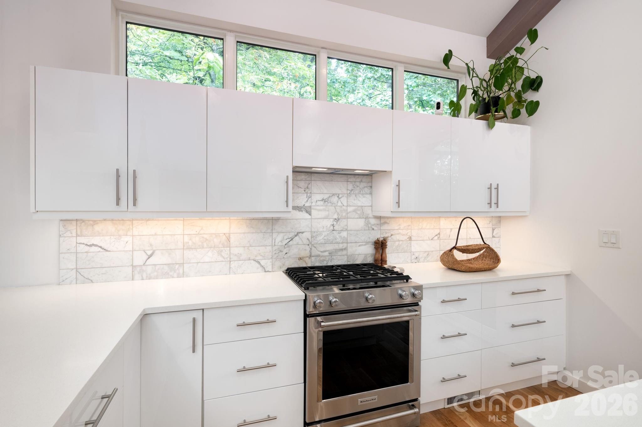 Homestead at Mills River - Residential