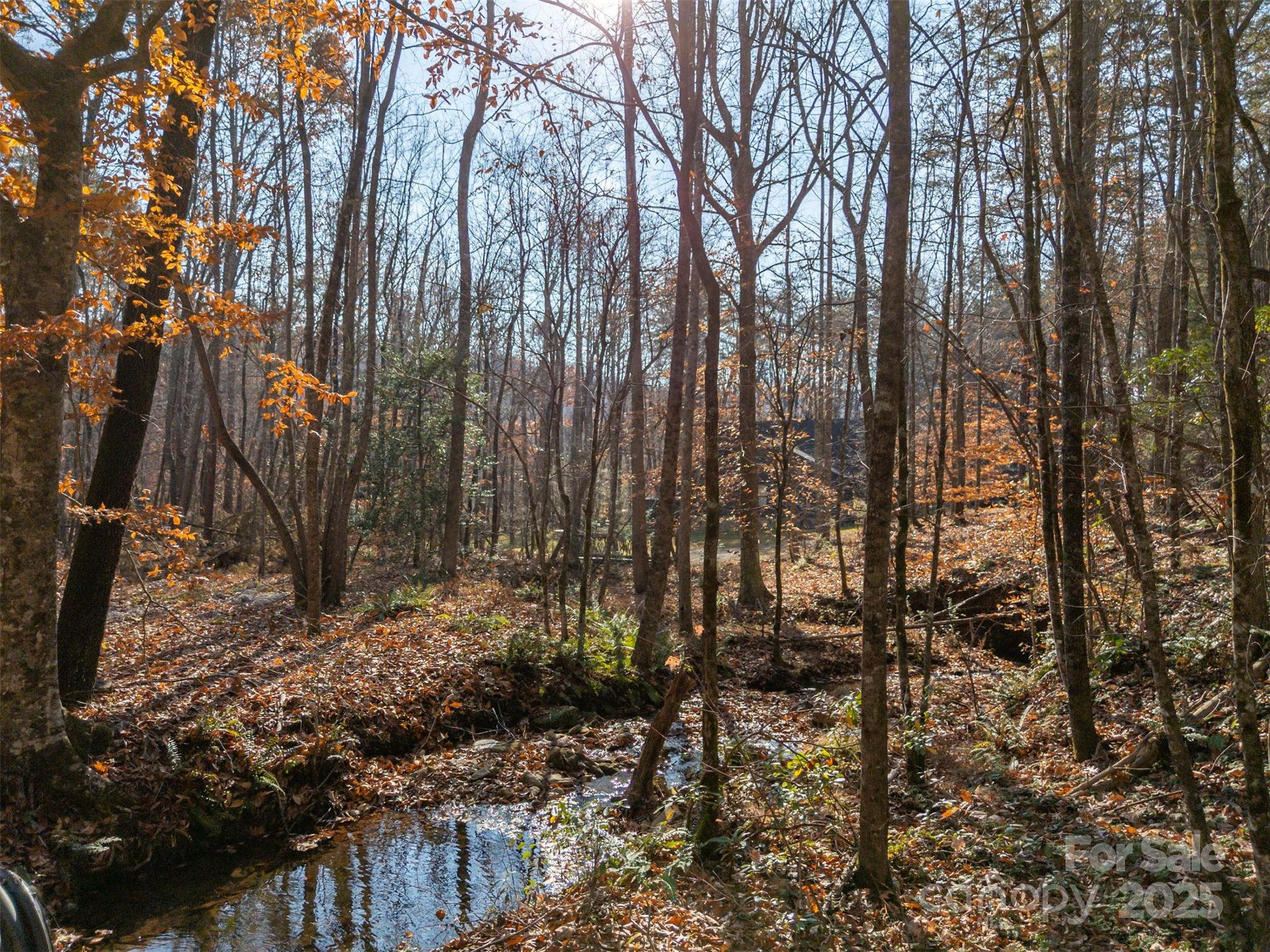 Tongass Ridge - Residential