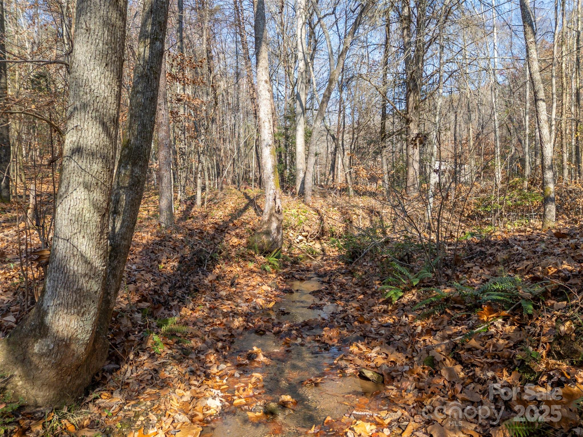 Tongass Ridge - Residential