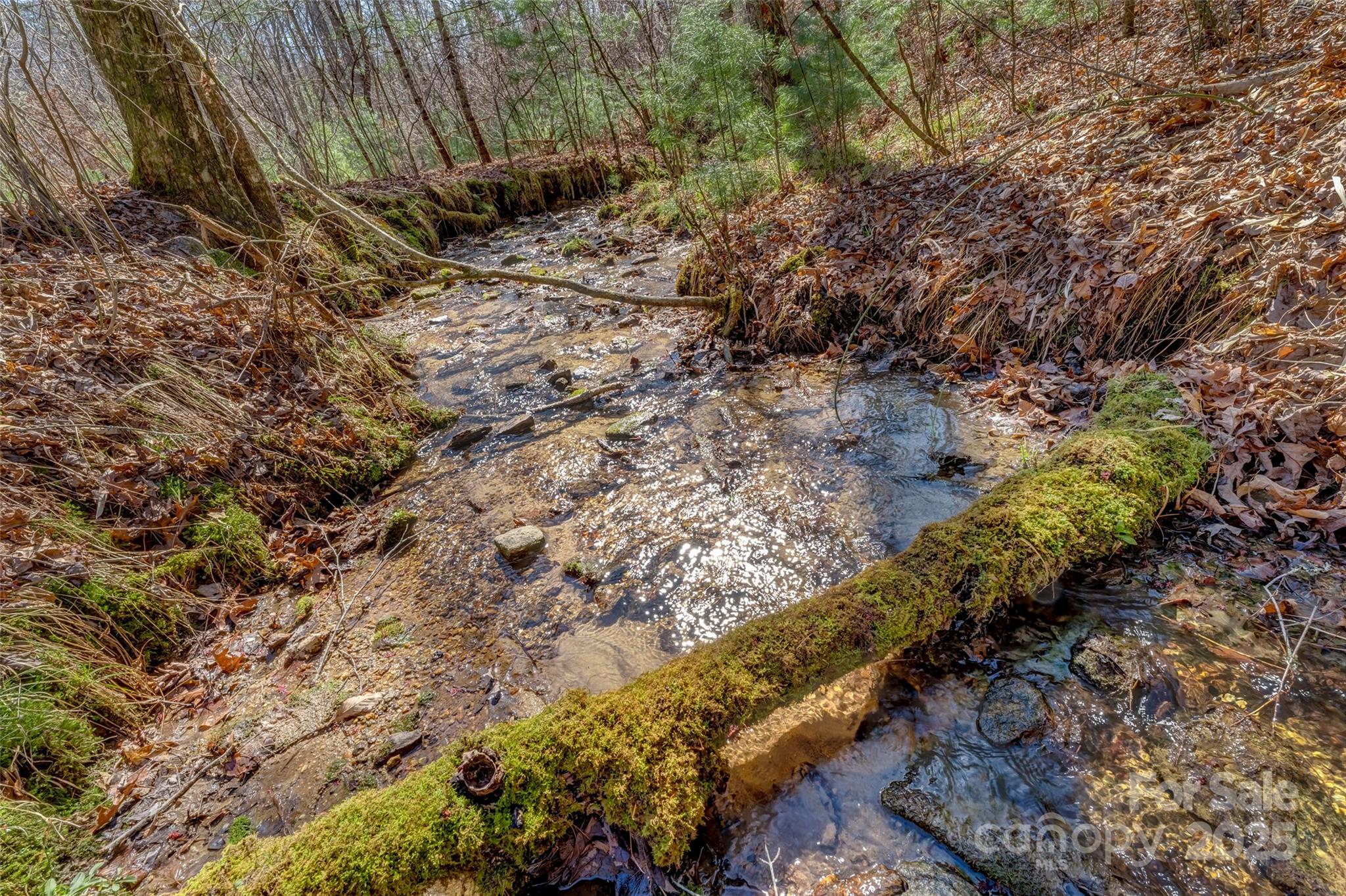 Lot 3 Walnut Hollow Road