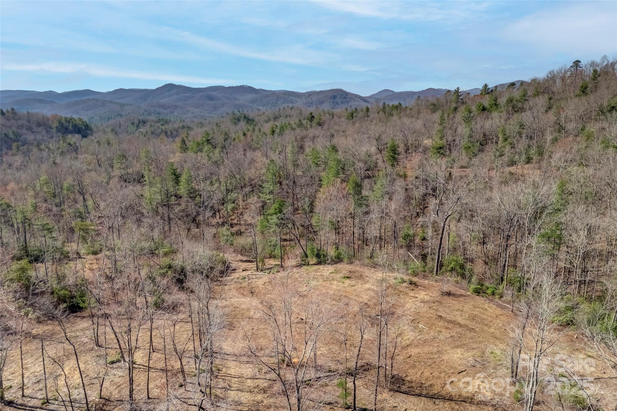 Lot 3 Walnut Hollow Road