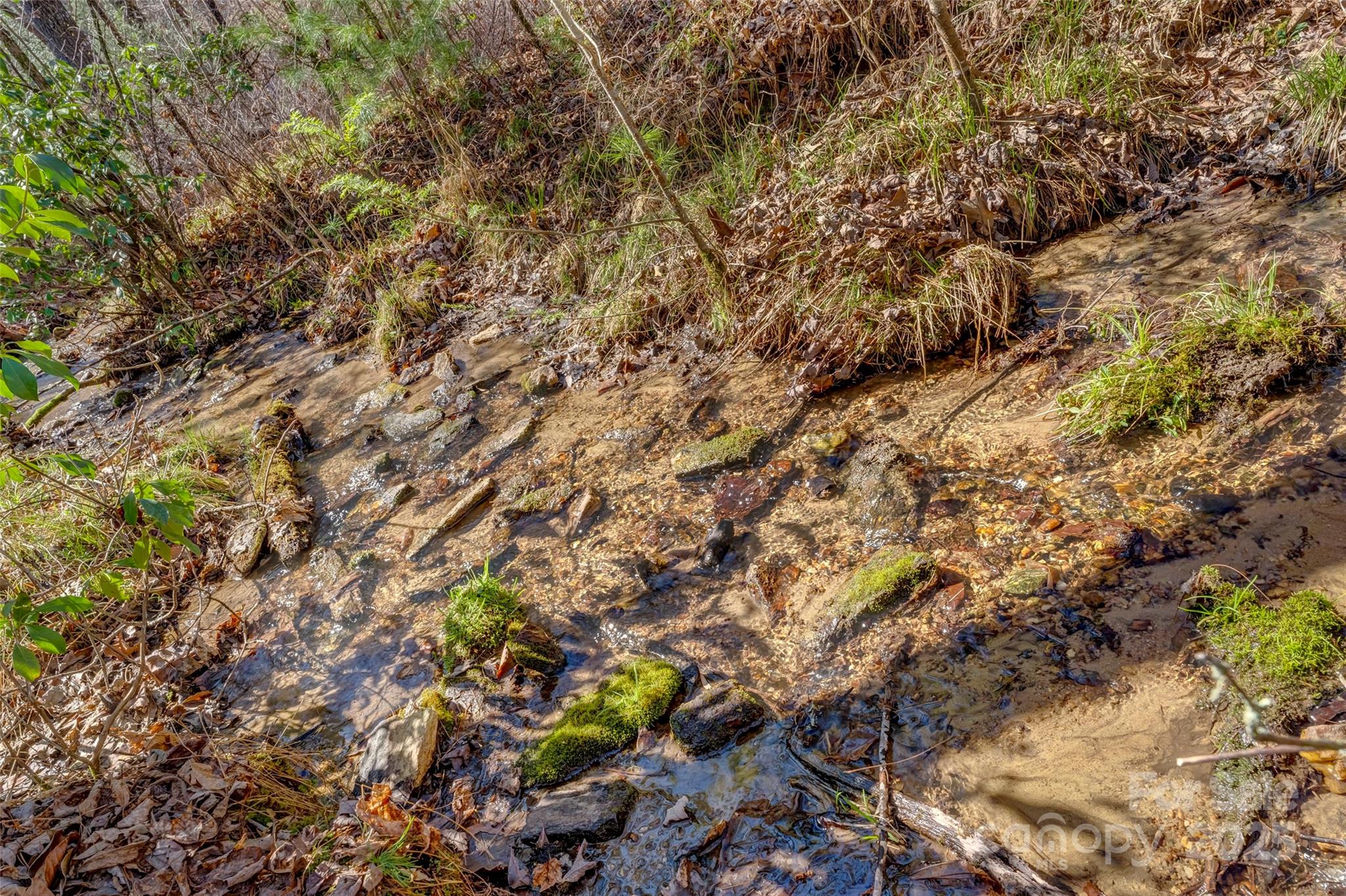 Lot 3 Walnut Hollow Road