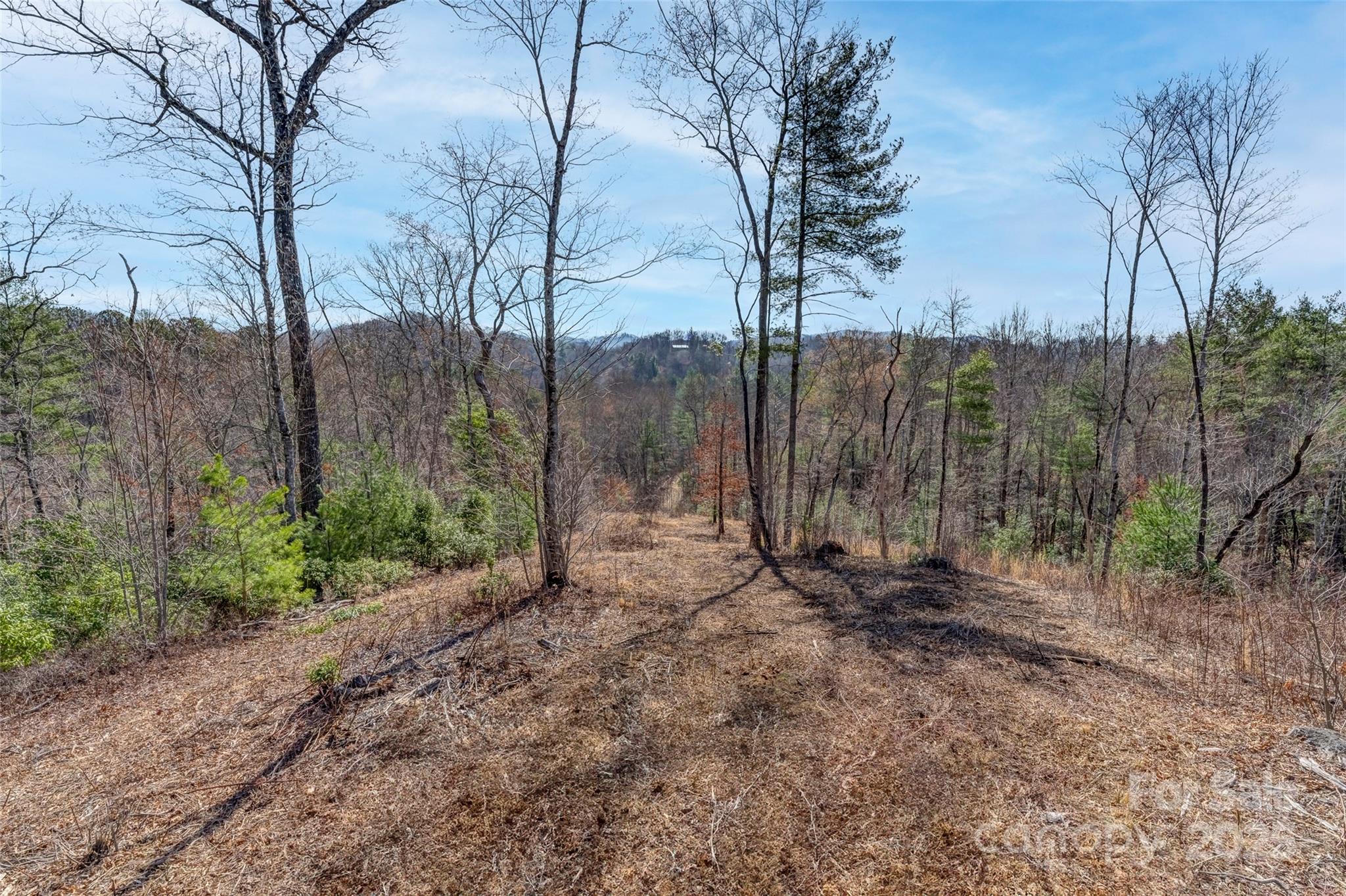 Lot 3 Walnut Hollow Road