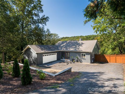 17 Beaverdam Court Asheville NC 28804