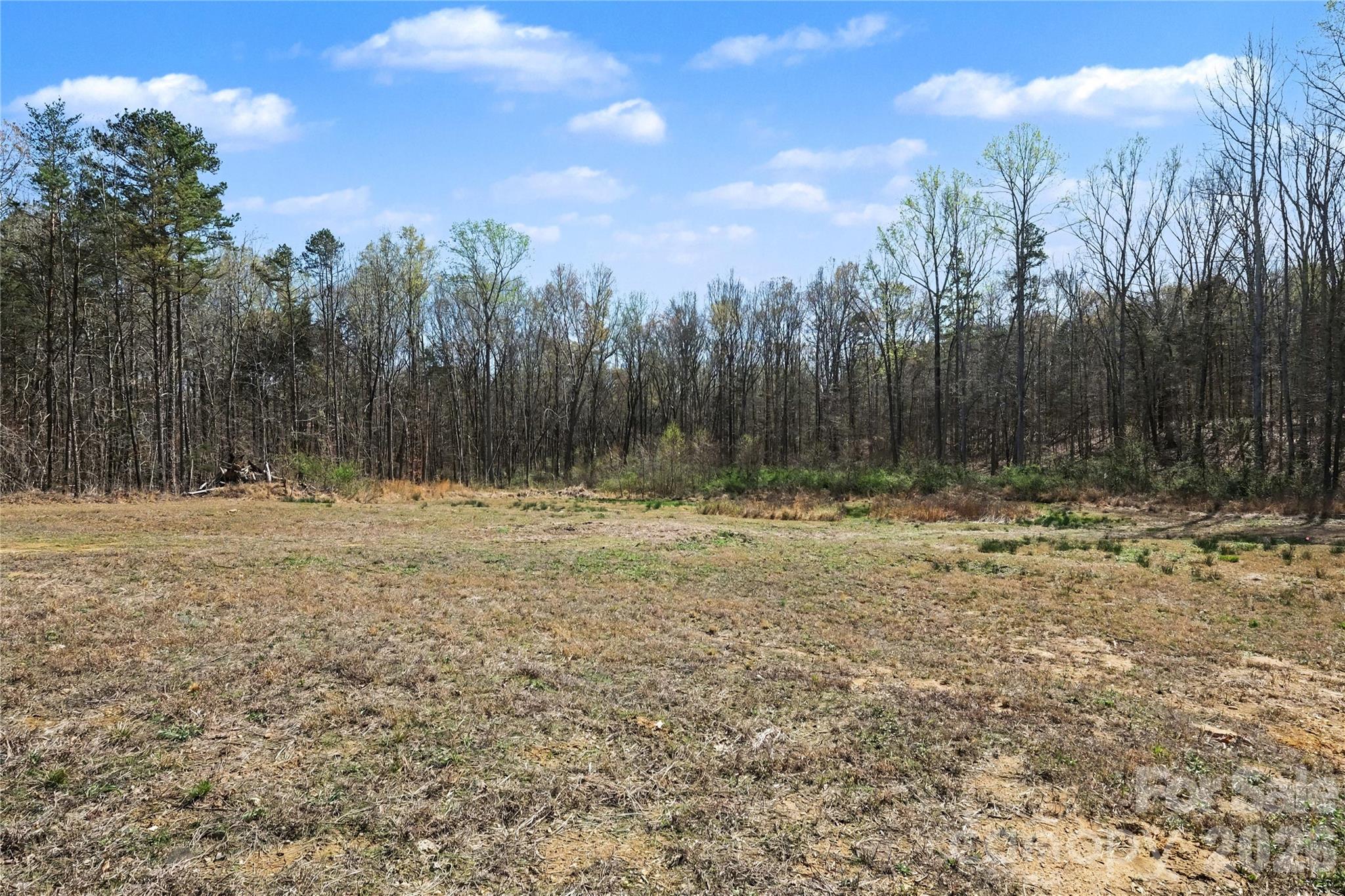 Arlington Forest - Land