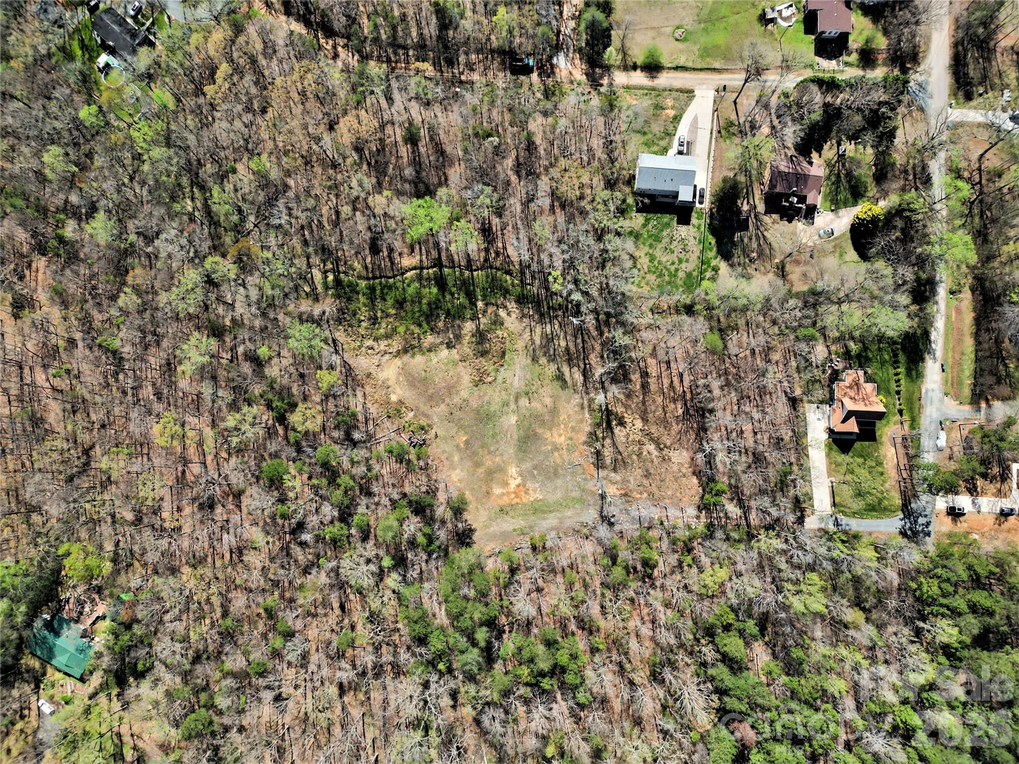 Arlington Forest - Land