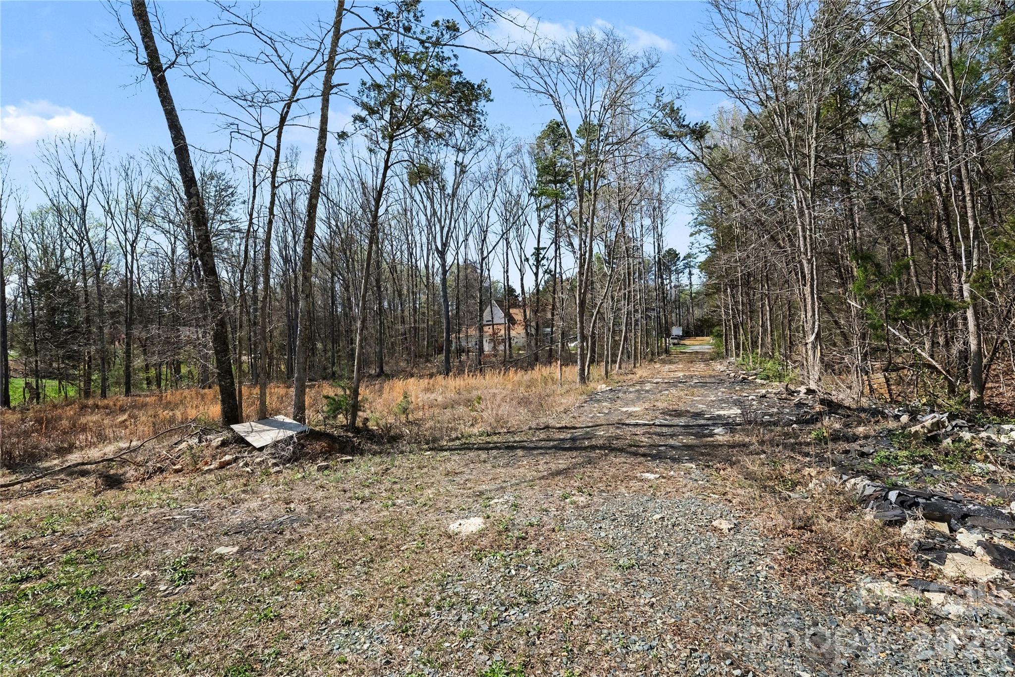 Arlington Forest - Land