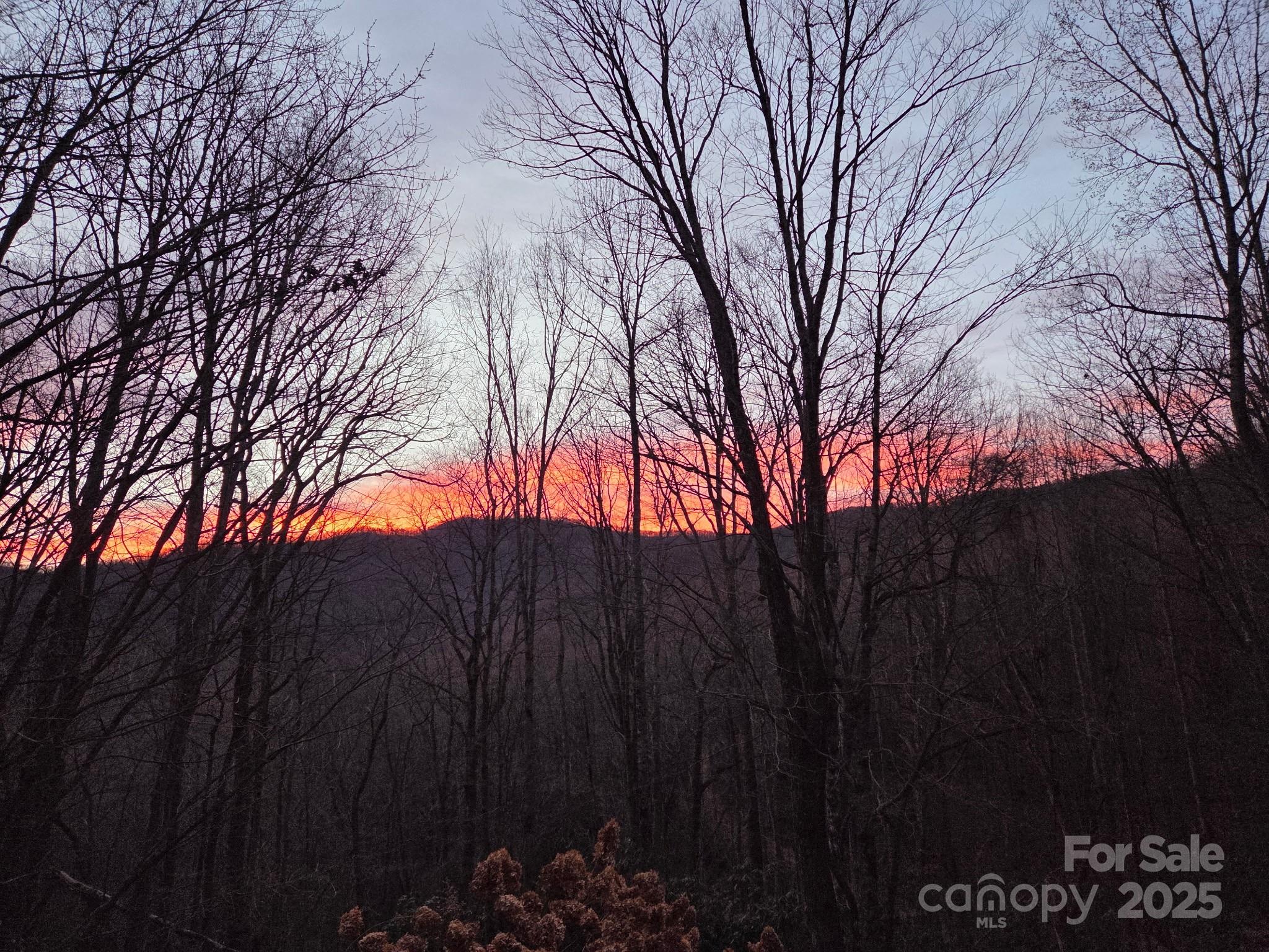 50 Firefly Springs Lane