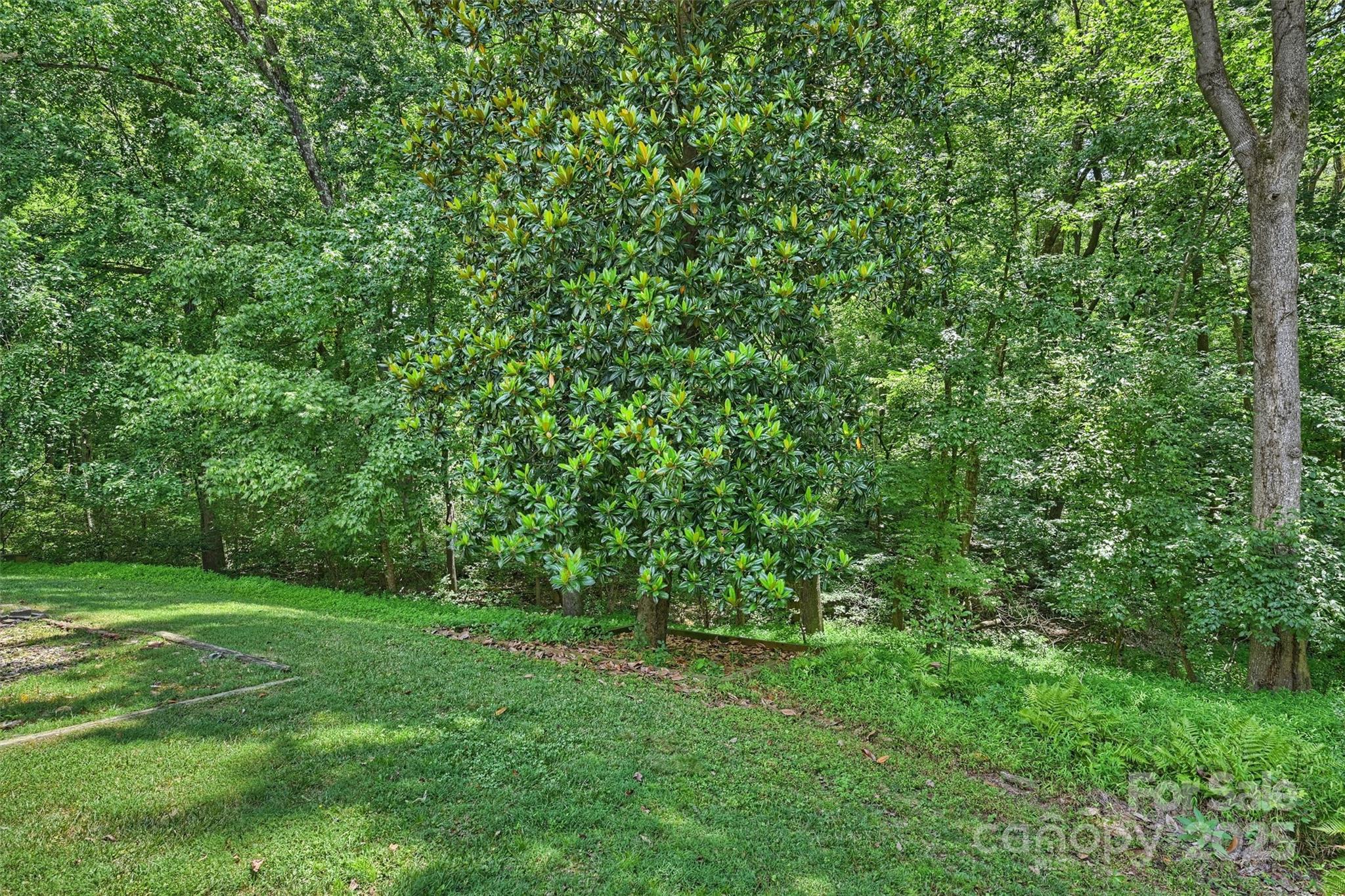 Stonehaven - Residential