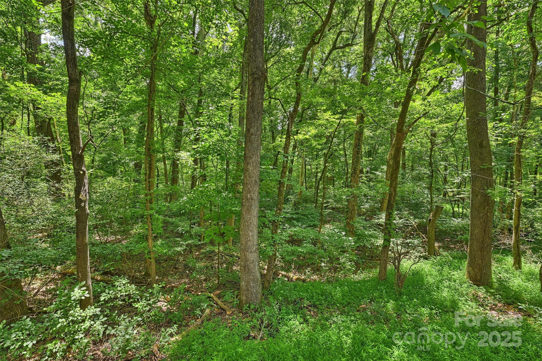 Stonehaven - Residential