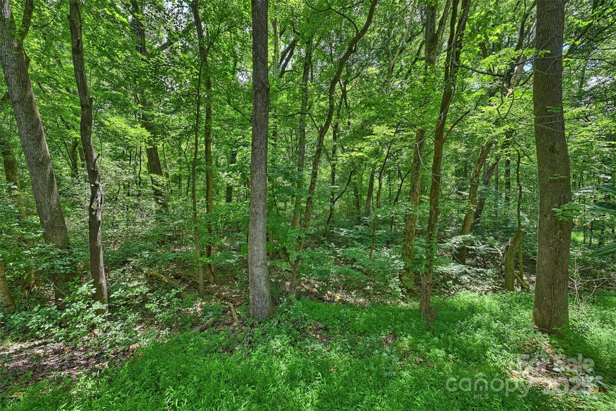 Stonehaven - Residential