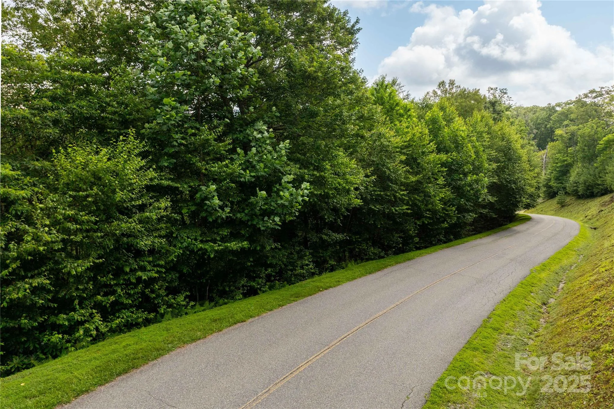 TBD Lot 121 Firethorn Trail Unit 121, Blowing Rock, NC, 28605