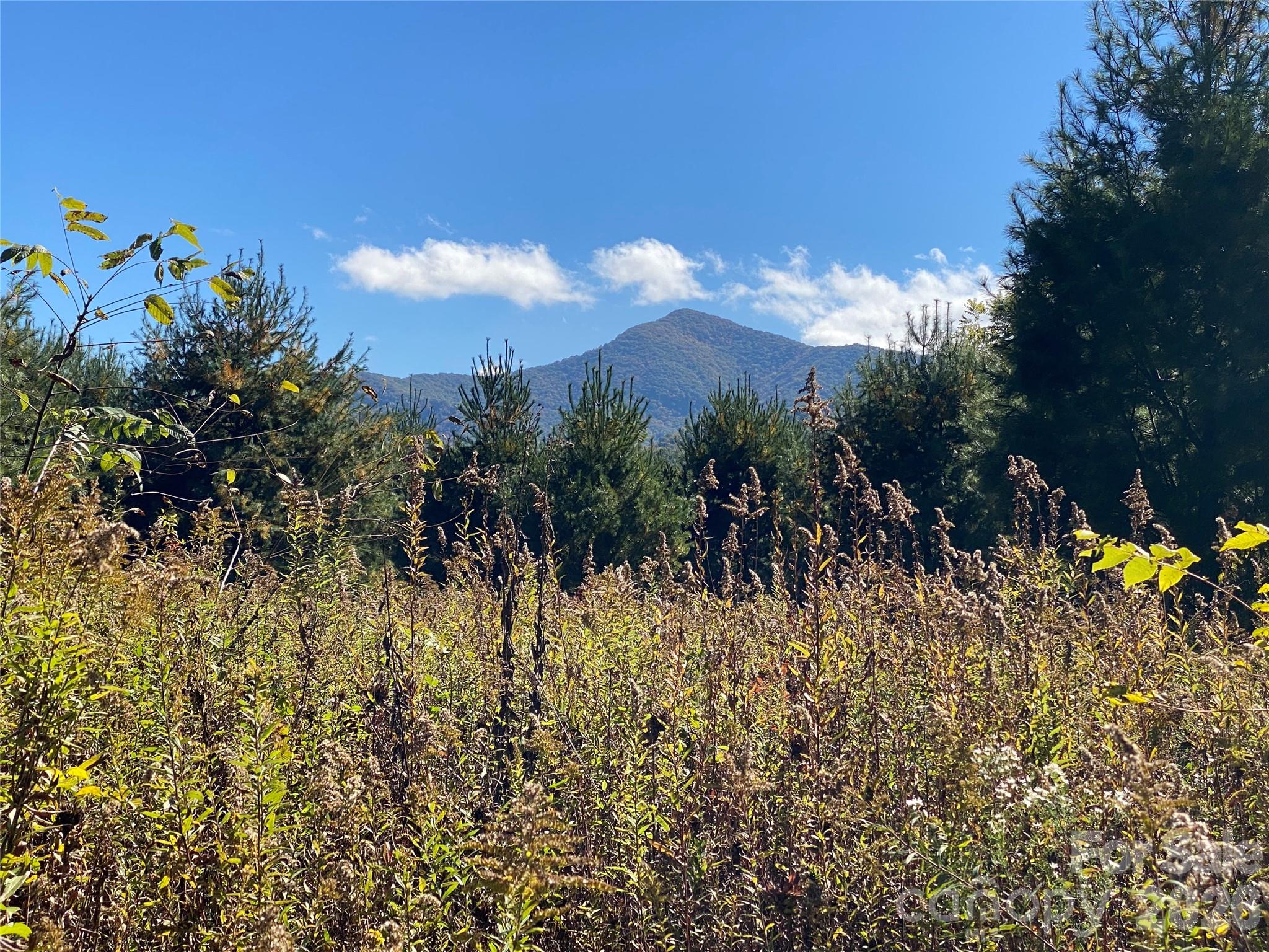 Tract 1 Hill Top Drive