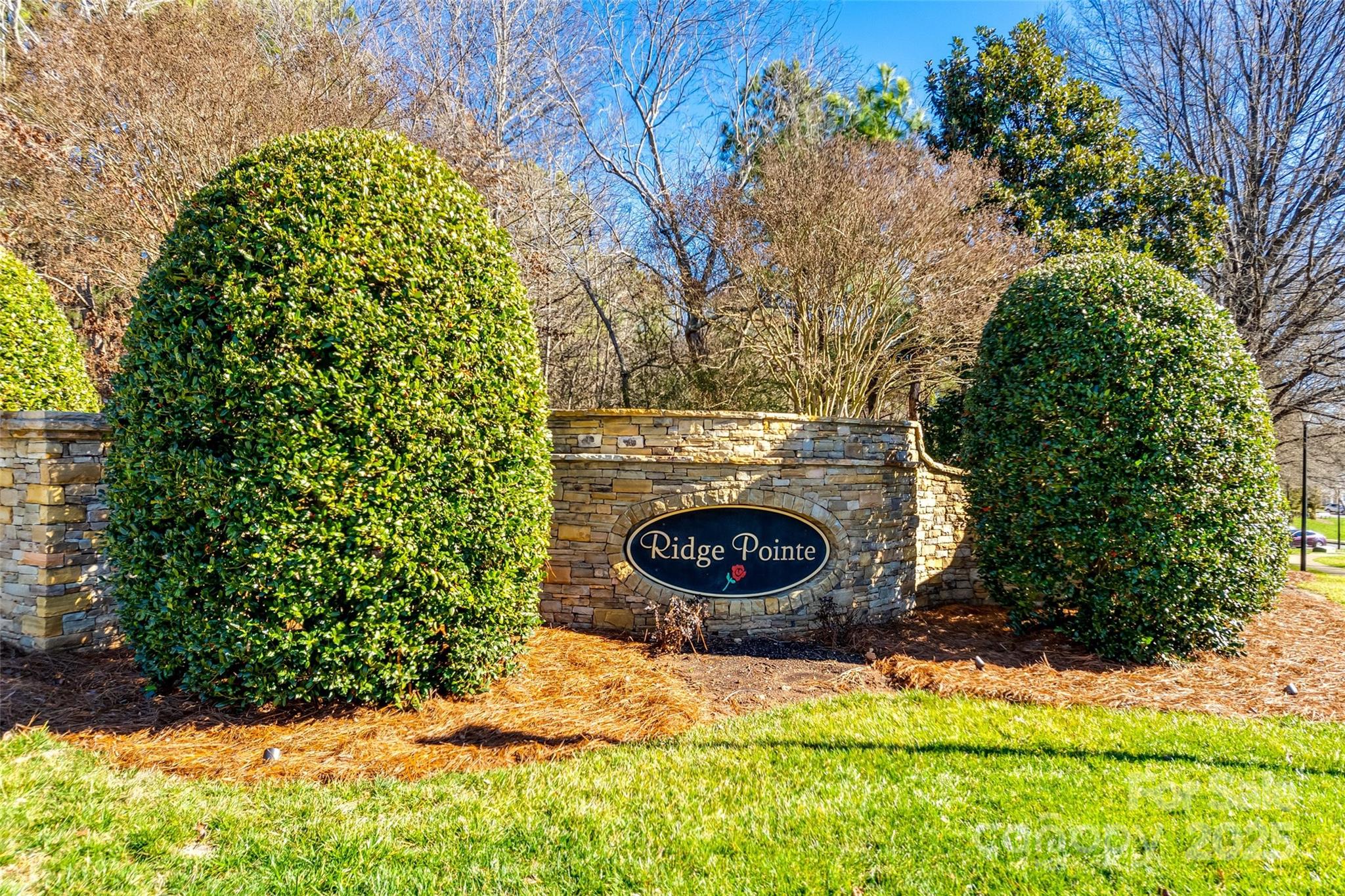 Ridge Pointe - Residential