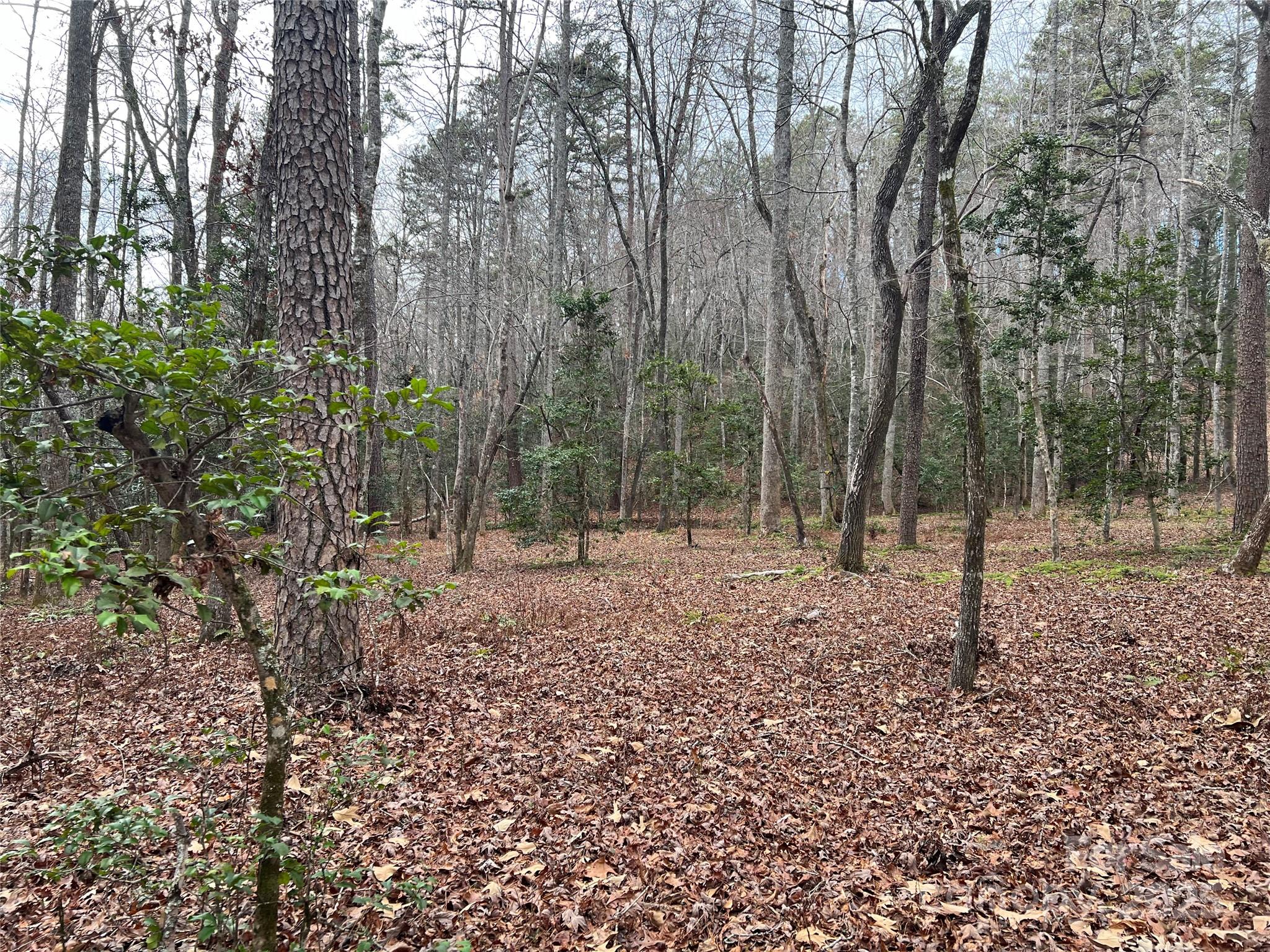Indian Head Acres - Residential