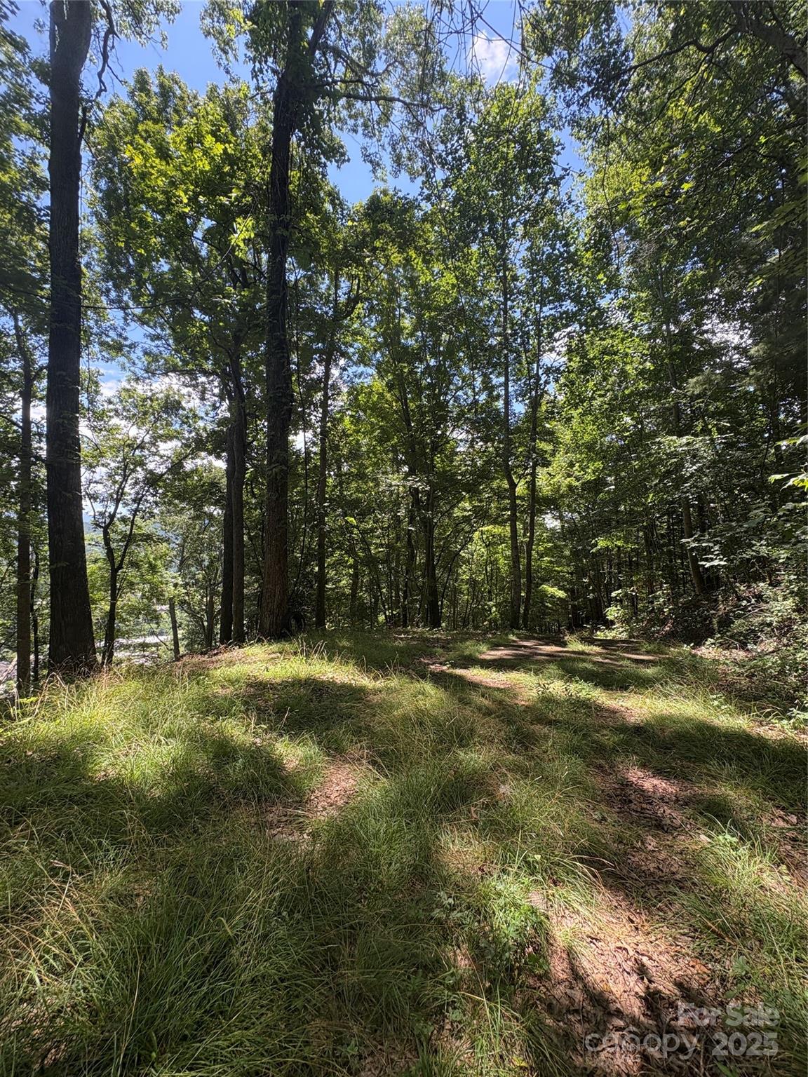 Wheeler Hills - Land