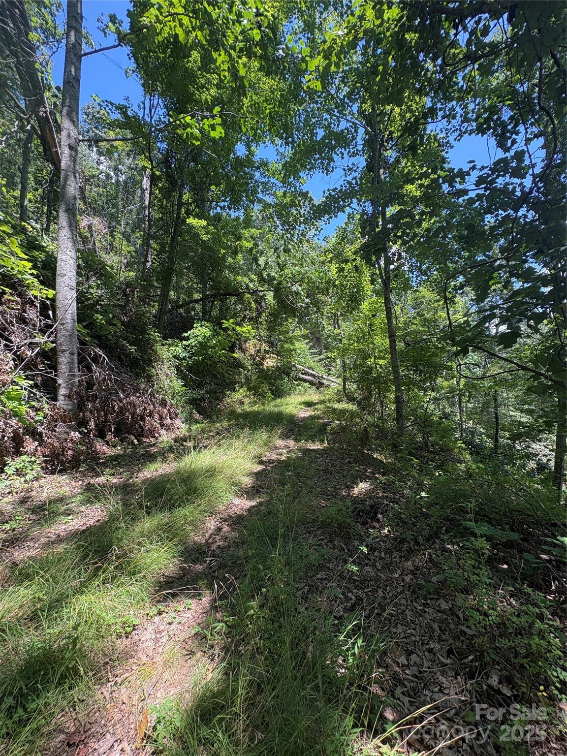 Wheeler Hills - Land