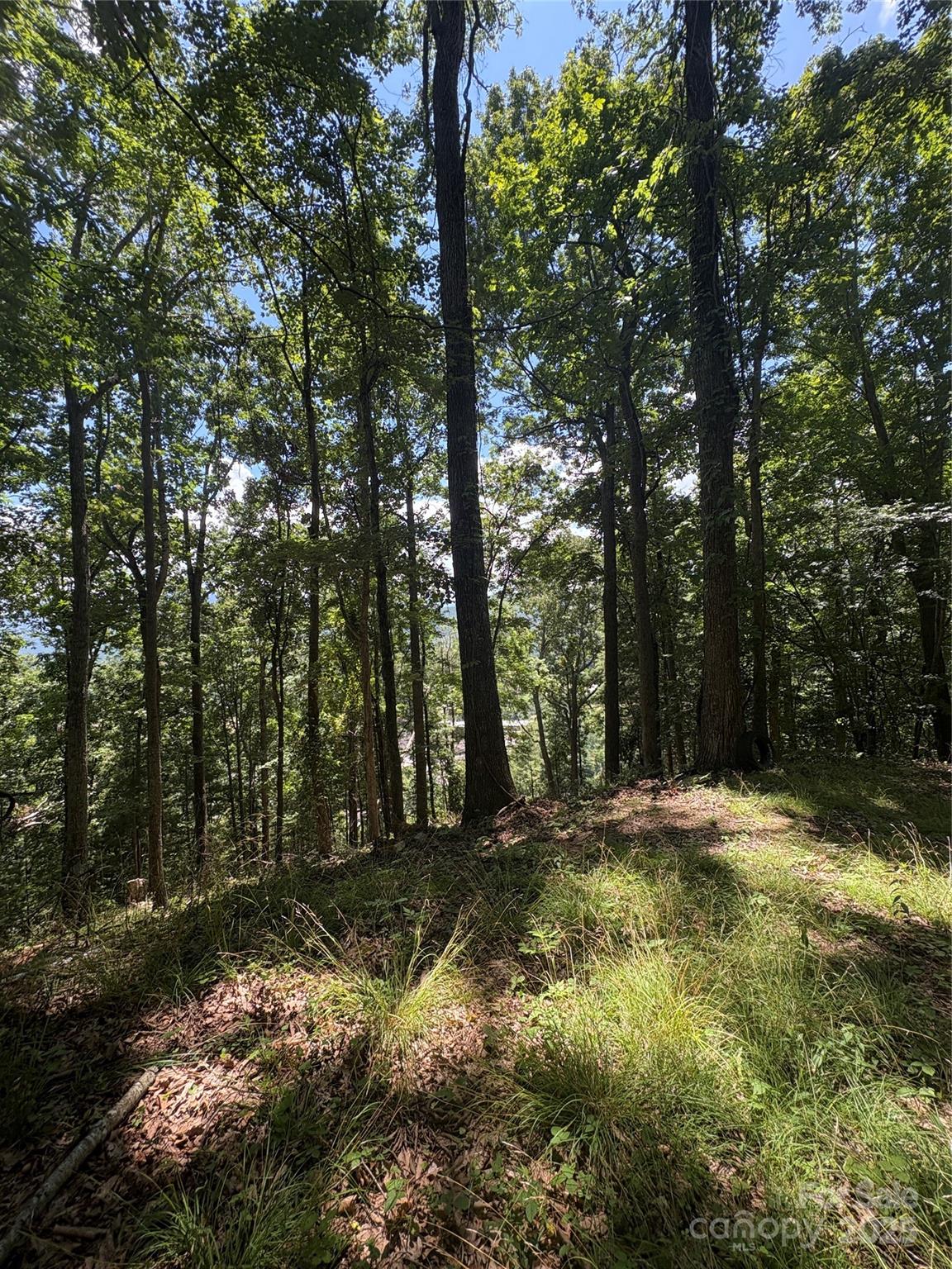 Wheeler Hills - Land